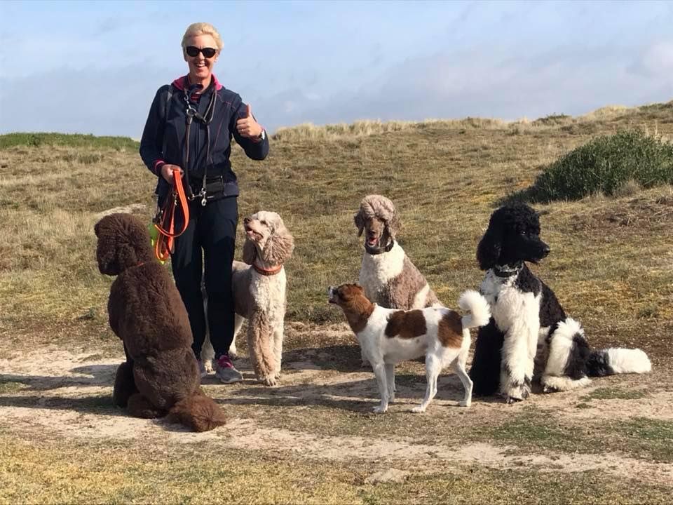 Des Pudels Potpourri.