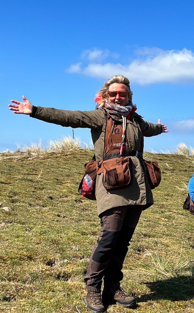 Des Pudels Training.