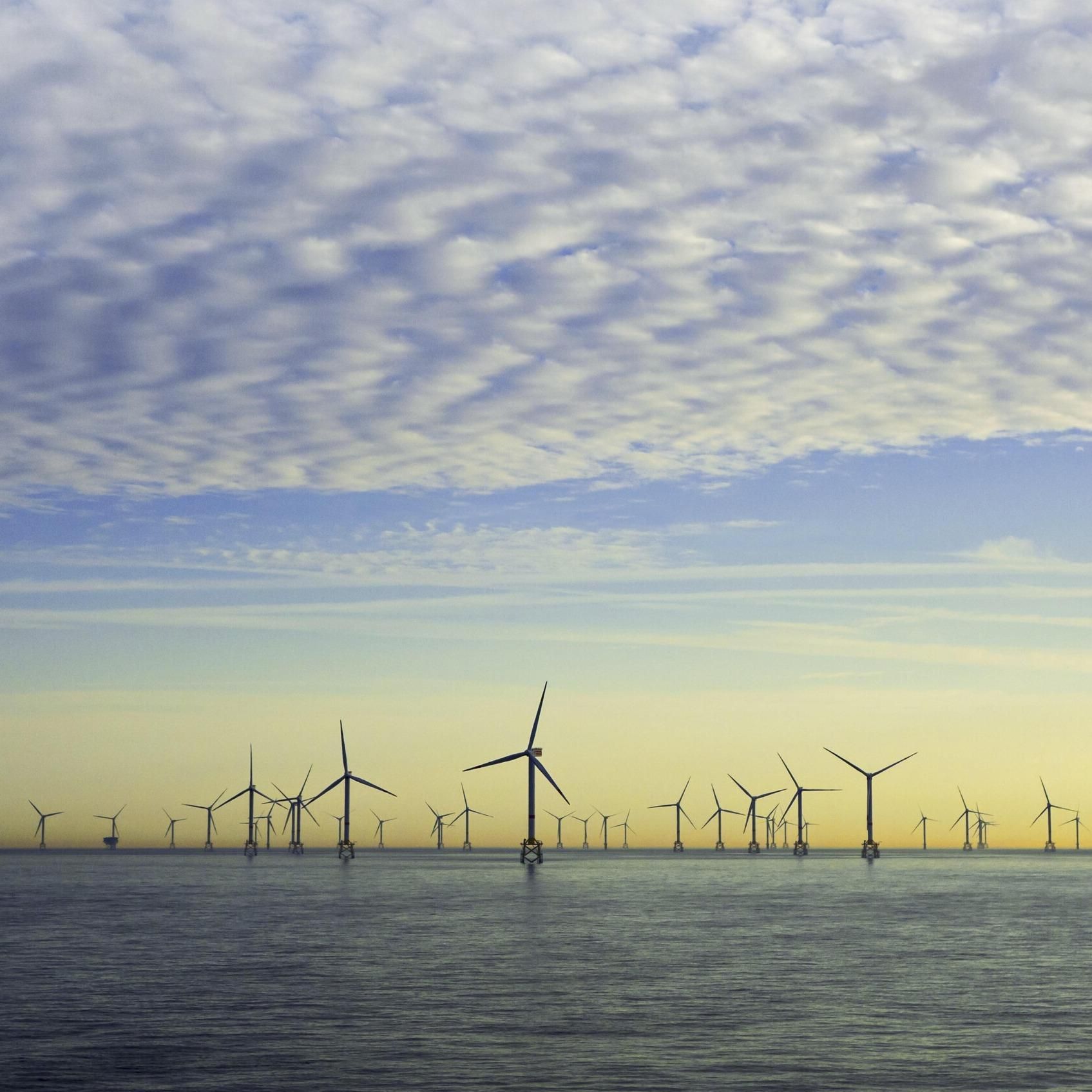 "Deutlich weniger Windräder sparen 50 Milliarden Euro, erzeugen aber nicht weniger Strom" | Tim Meyerjürgens (Tennet Germany)