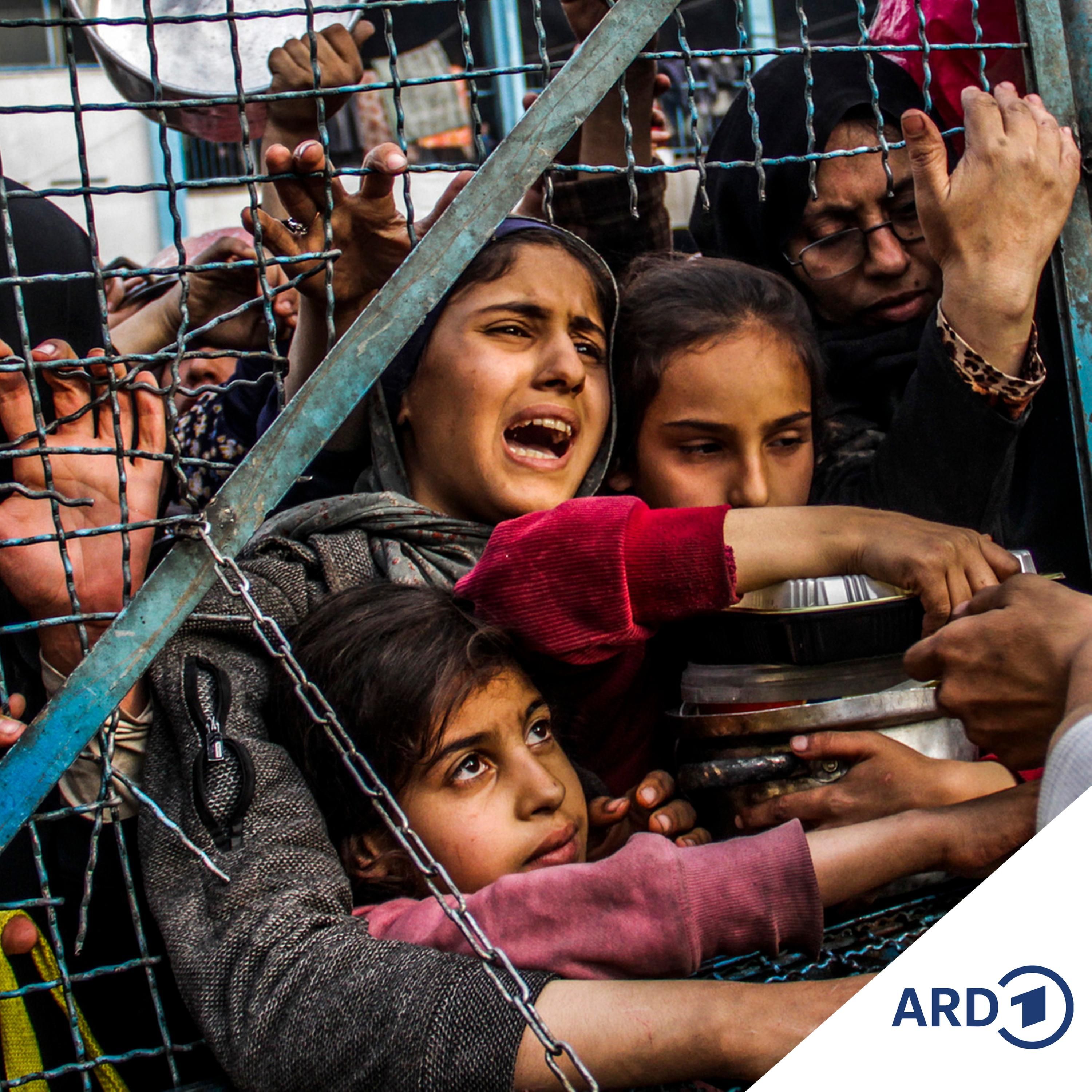 Deutschland will bei Wiederaufbau des Gazastreifens helfen