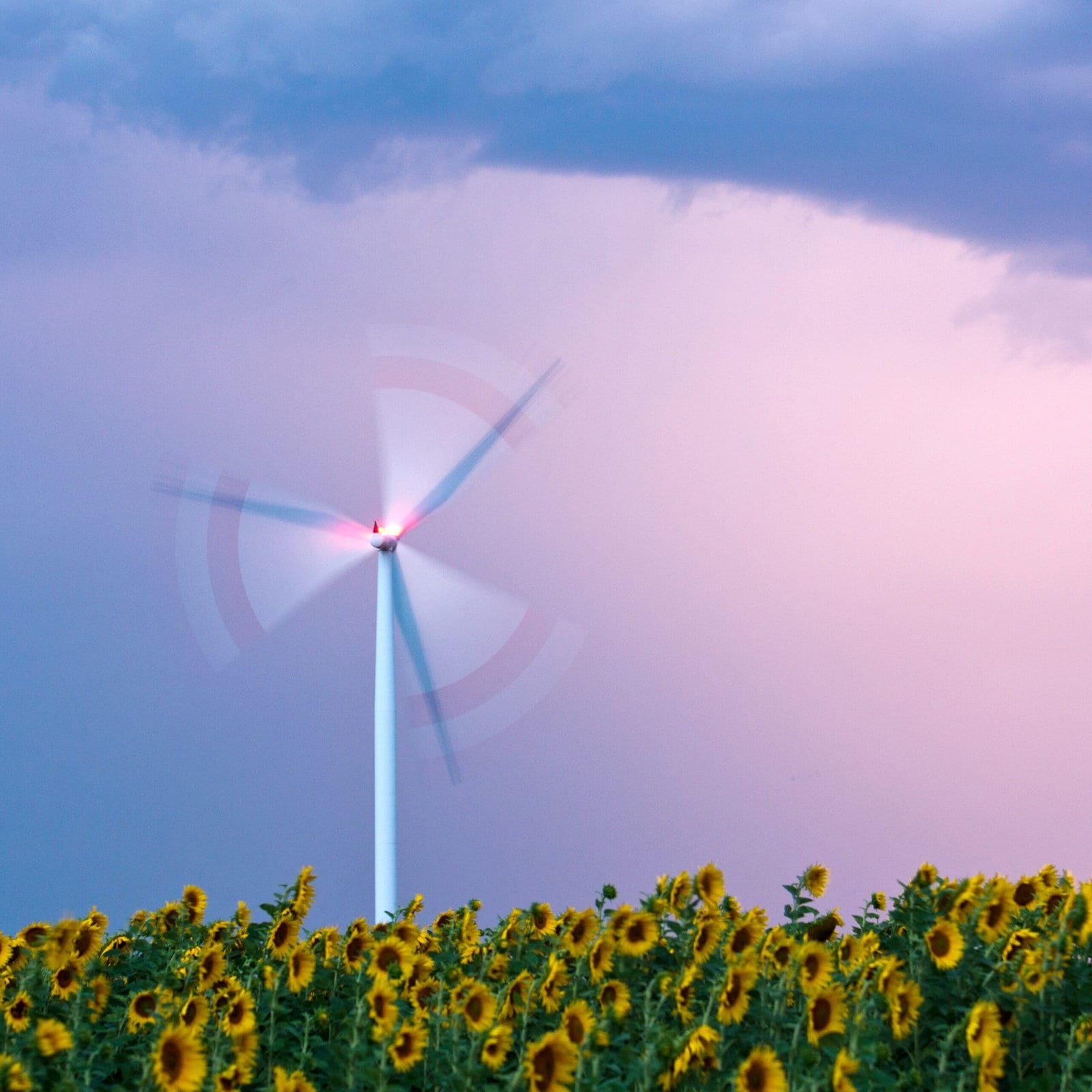 Deutschlands Klimaziele bei Wirtschaftexperten umstritten