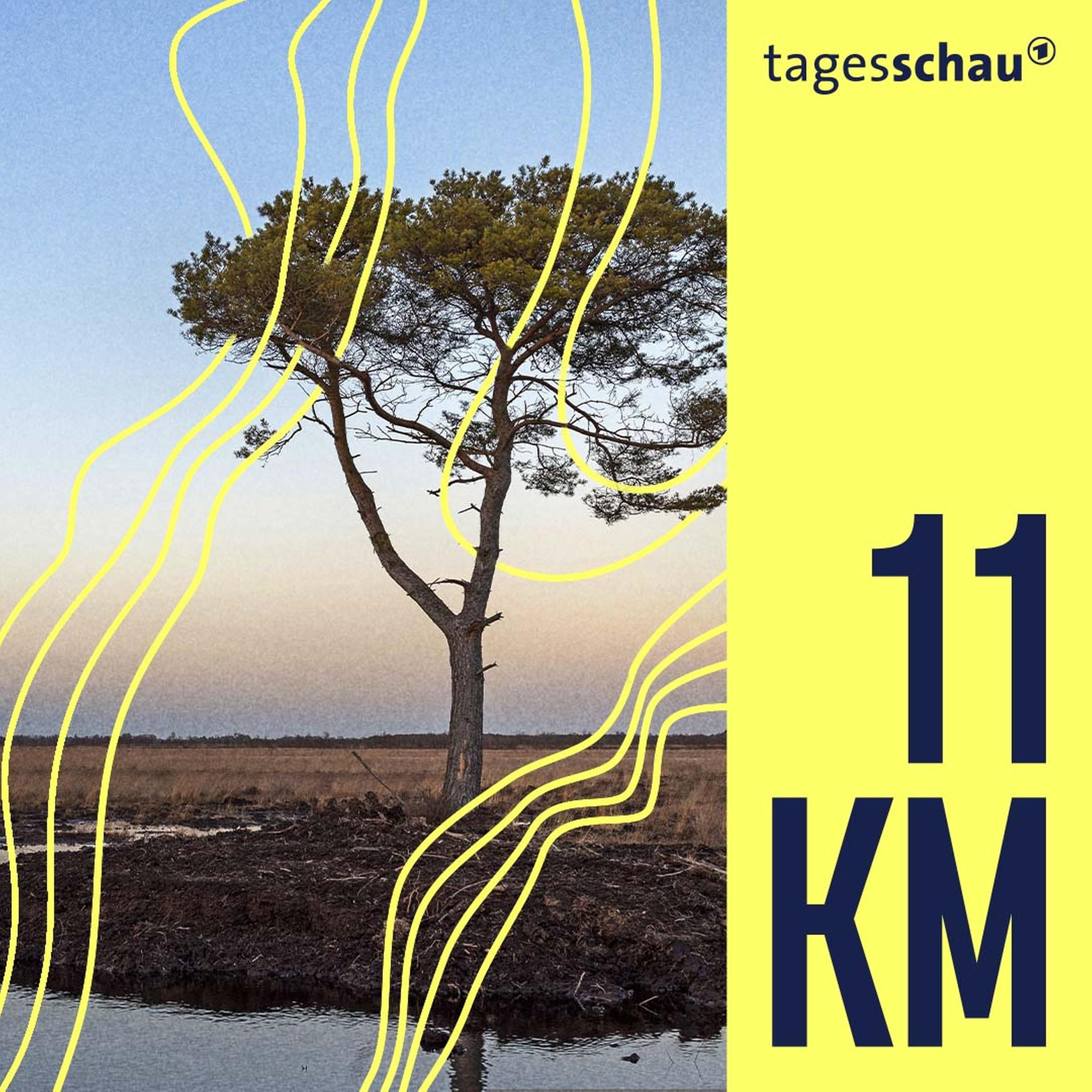 Deutschlands Moore: Klimakiller oder Hoffnungsträger?