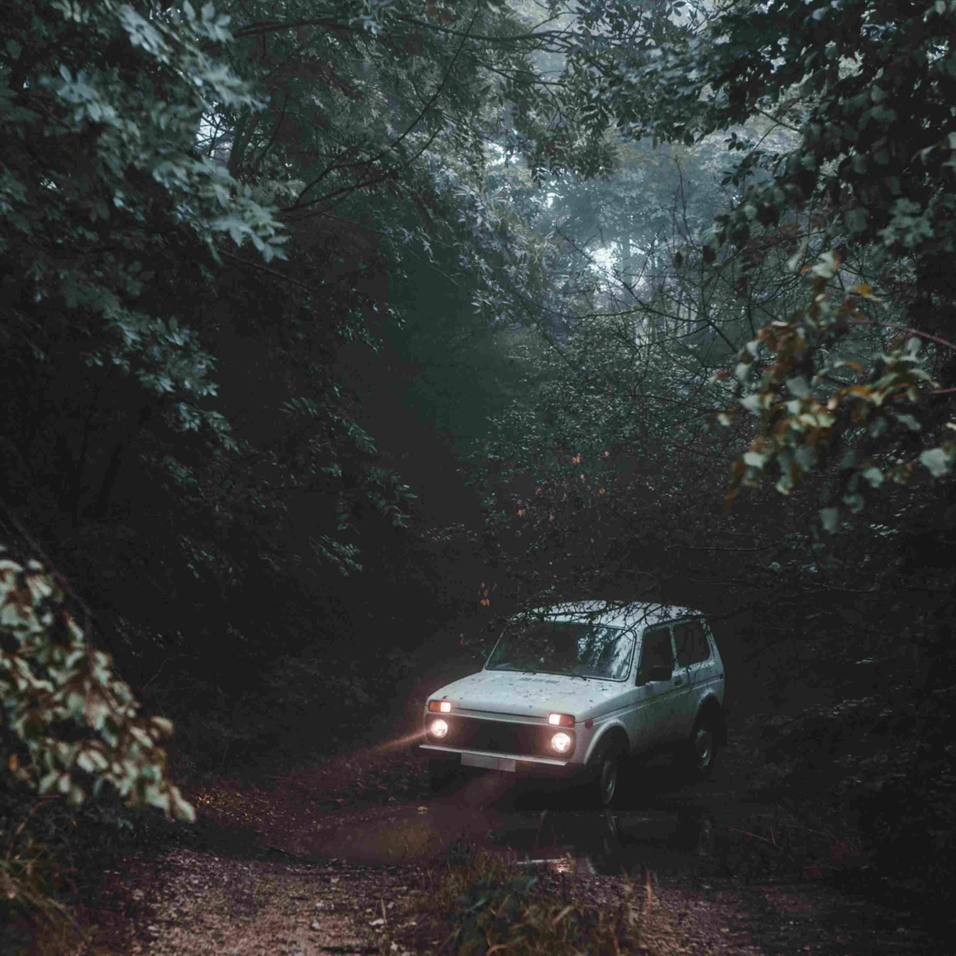 „Die Abkürzung“ - Zwischen Wald und Wahnsinn