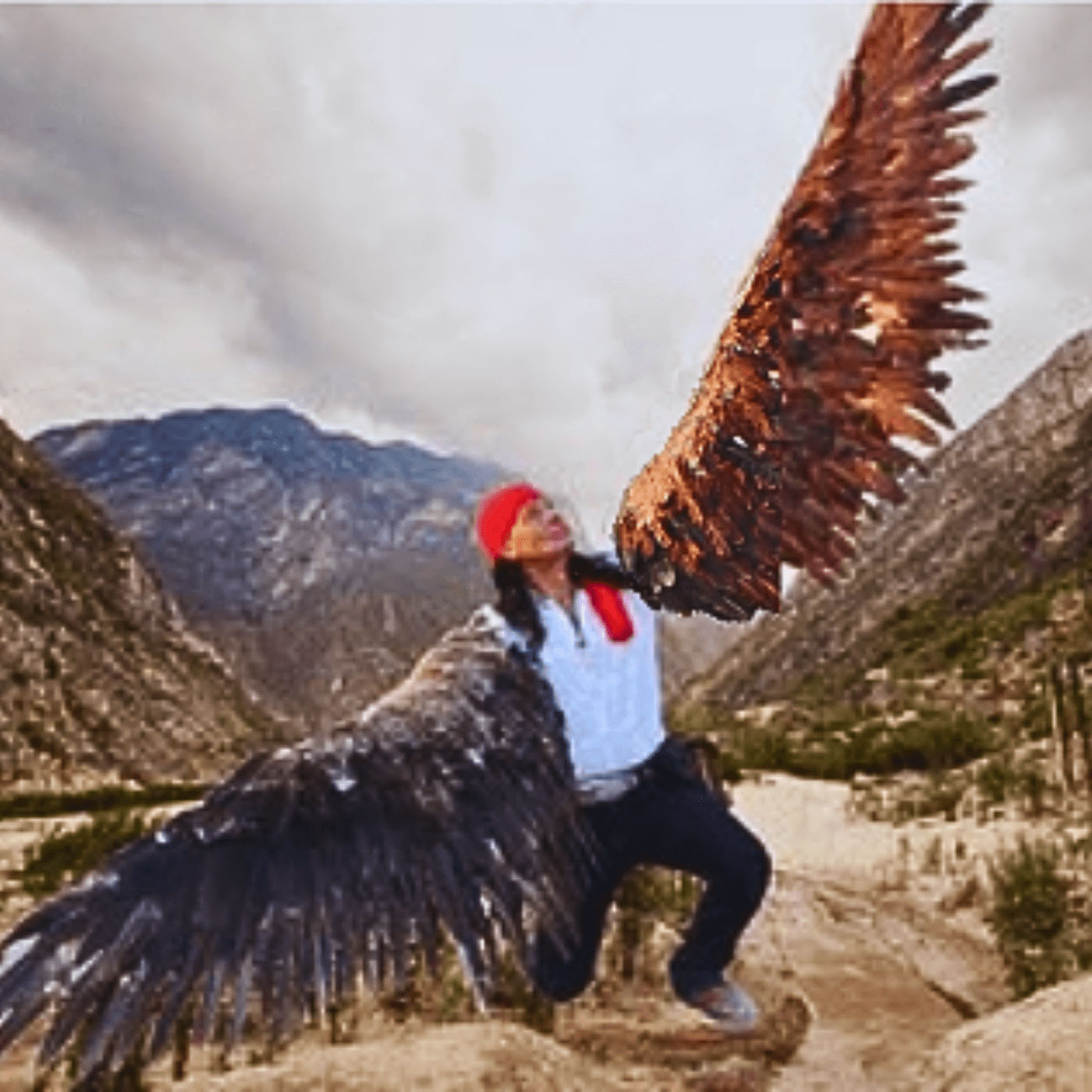 Die Adler Meditation - Xokonoschtletl Gómora