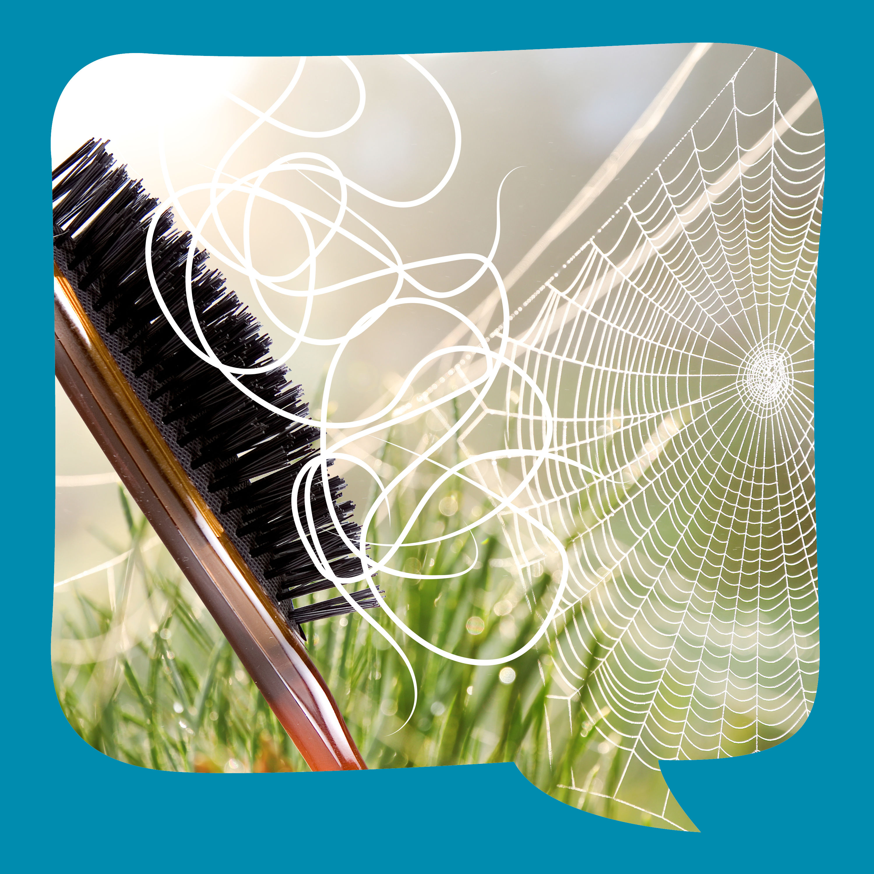 Die Alte mit den drei Haaren | nach einem Gedicht von Tonino Guerra | erzählt von Maria Carmela Marinelli