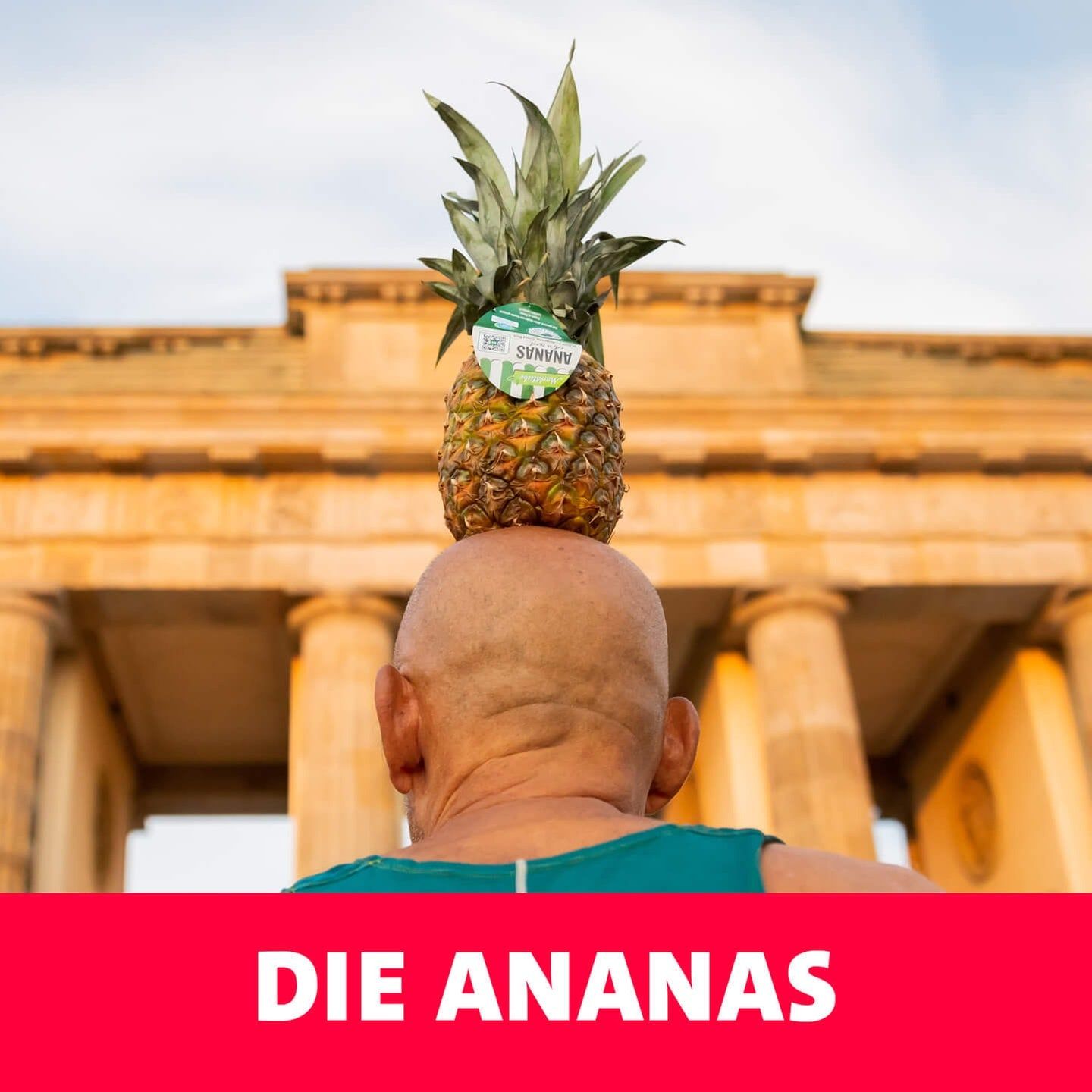 Die ANANAS