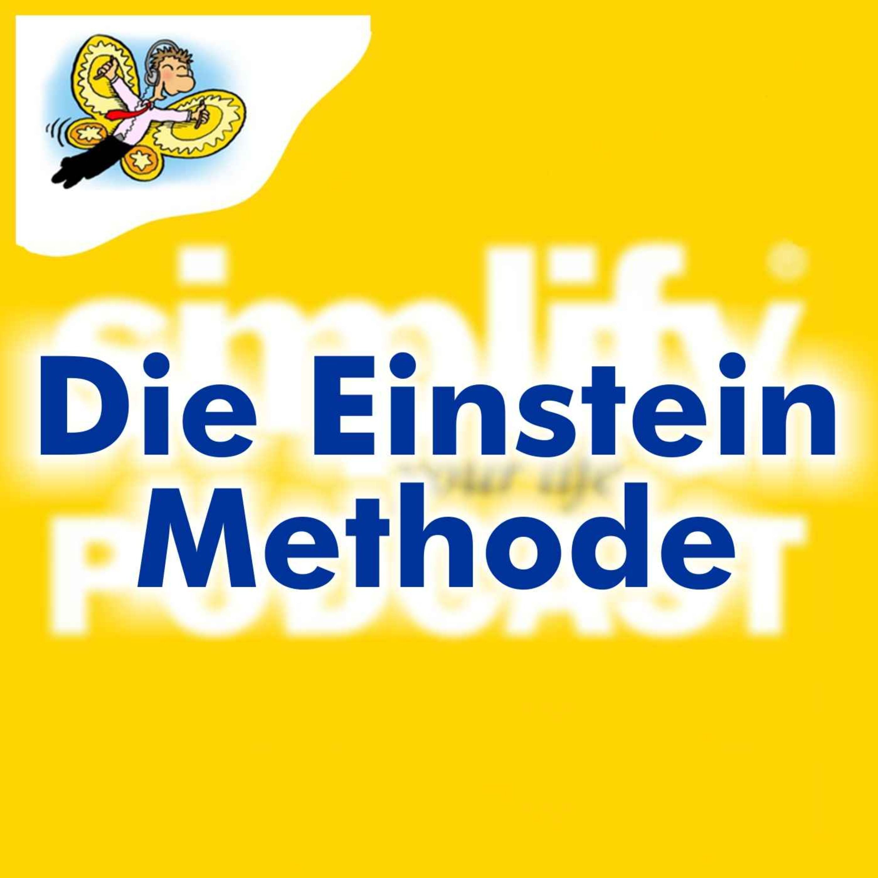 Die Einstein Methode