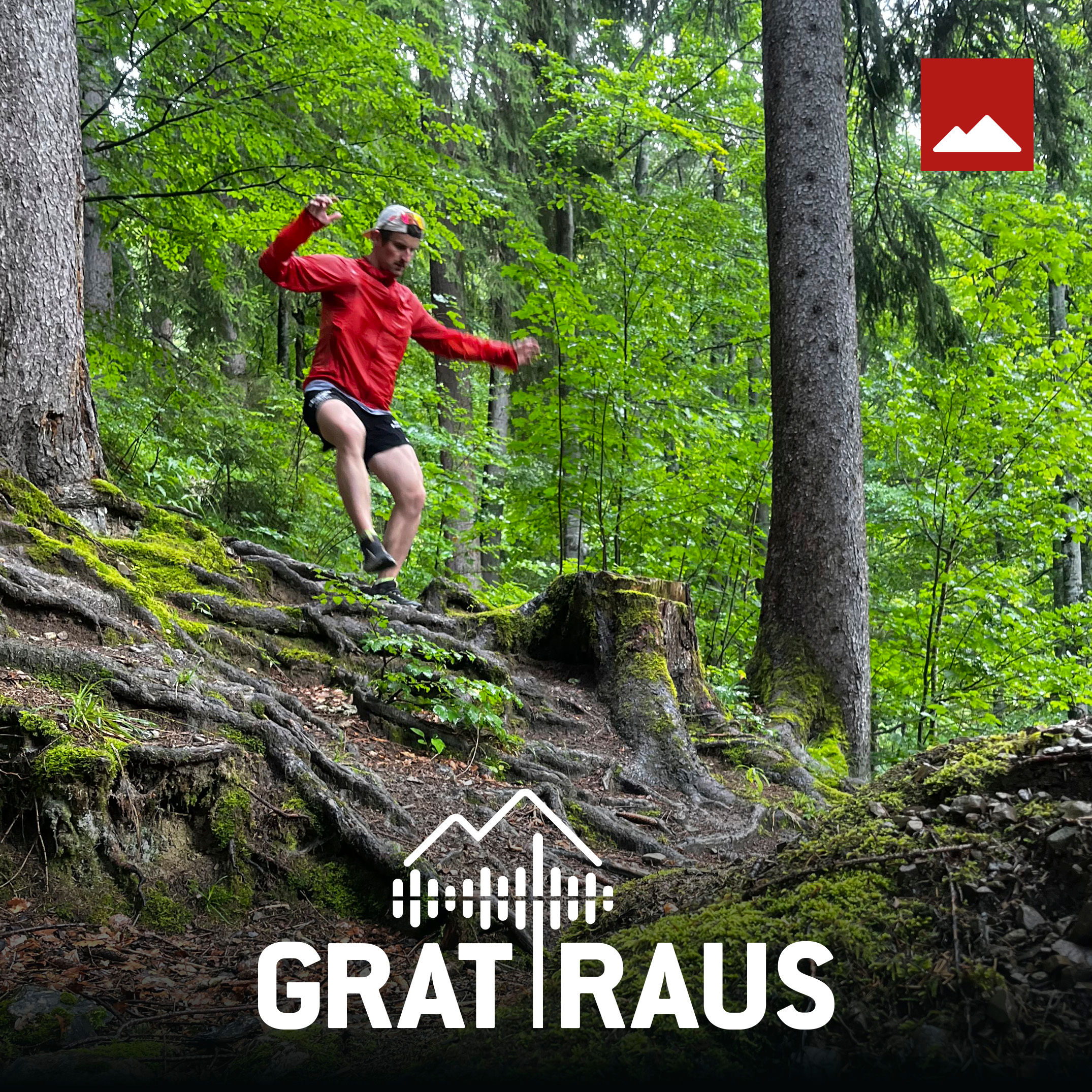 Die Evolution des Laufens – Vom ersten Schritt bis heute