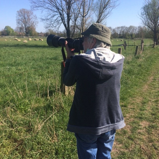 Die Faszination eines Storchenflüsterers