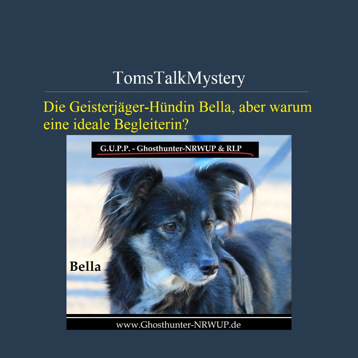 Die Geisterjäger Hündin Bella