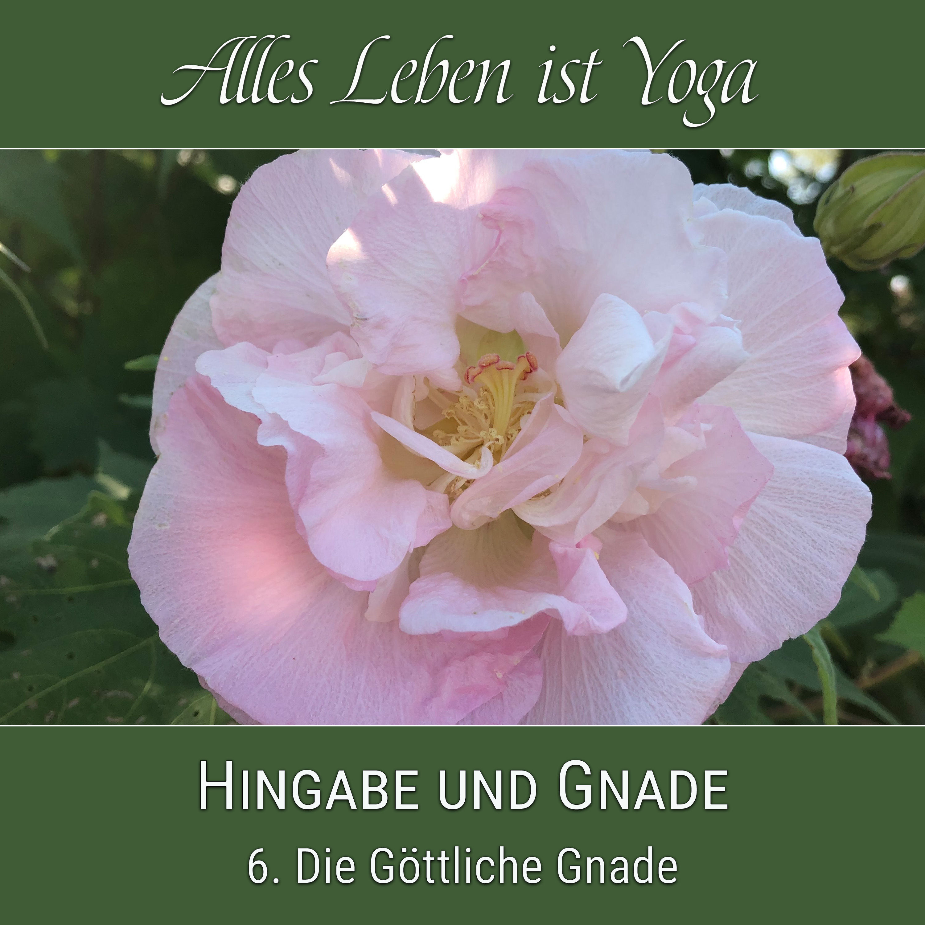 Die Göttliche Gnade