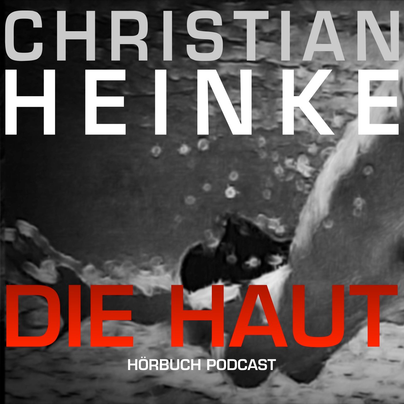Die Haut - Kapitel 11