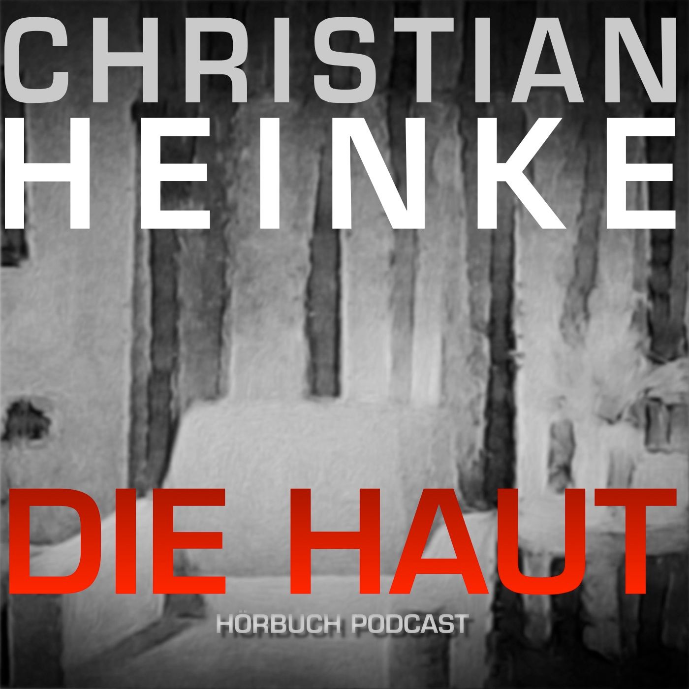 Die Haut - Kapitel 4