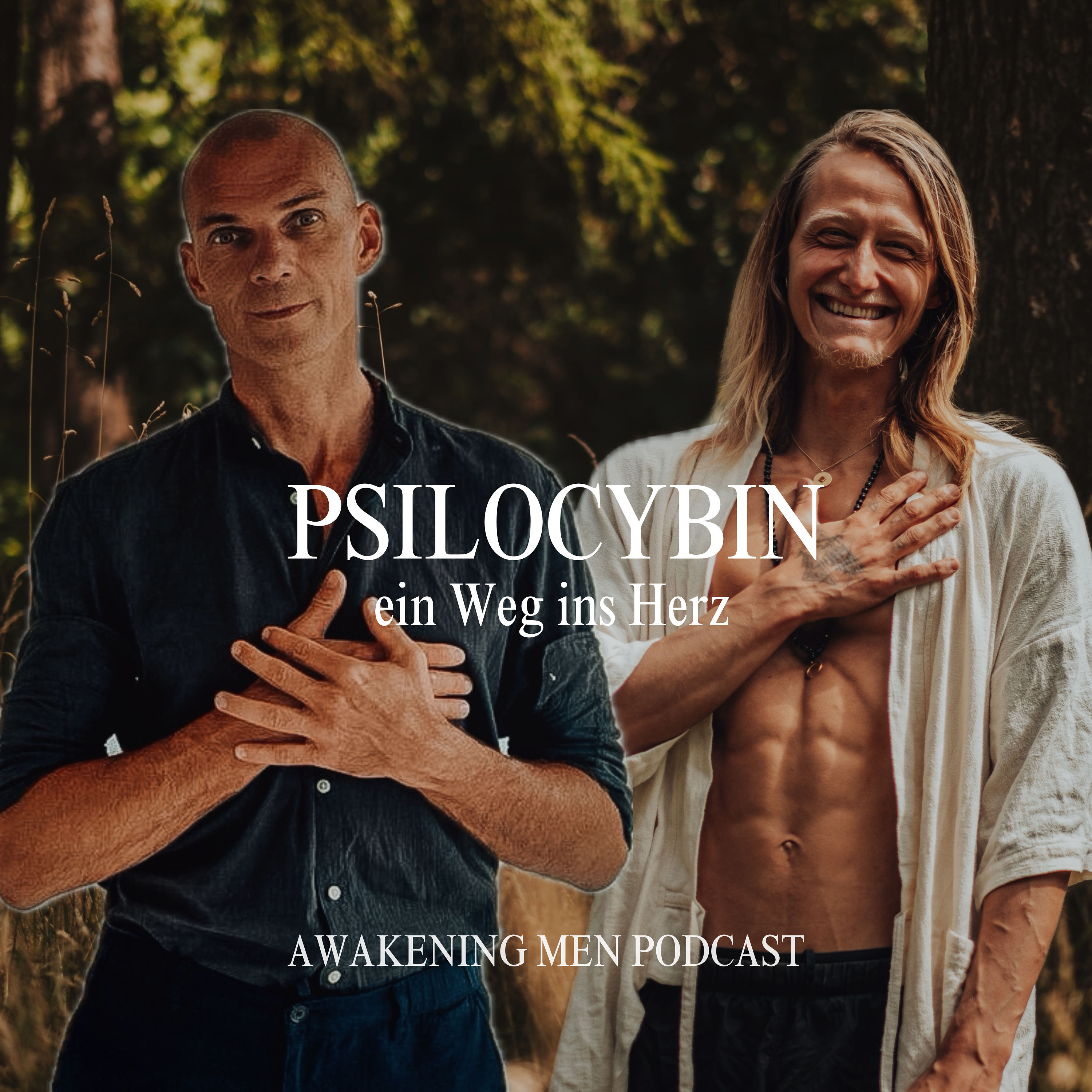 Die heilige Sprache der Zauberpilze - Interview mit Markus Vogel