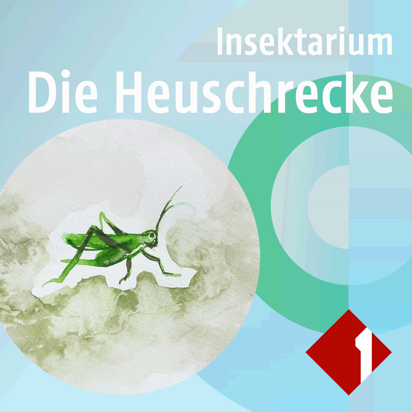 Die Heuschrecke