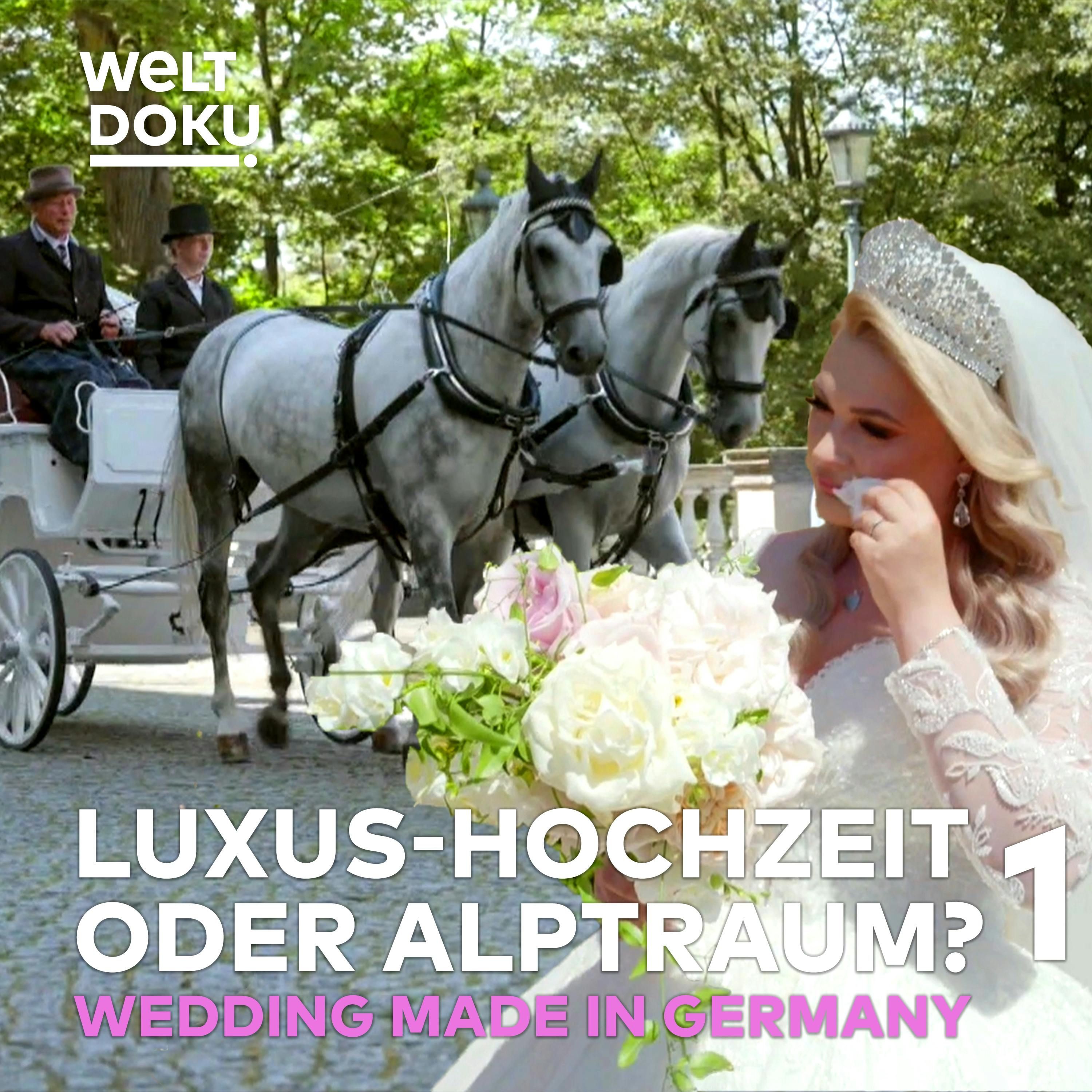 DIE HOCHZEITSPLANER 1 — Schloss Albrechtsberg: Heiraten wie Cinderella | Geschäft mit der Liebe TEIL 1