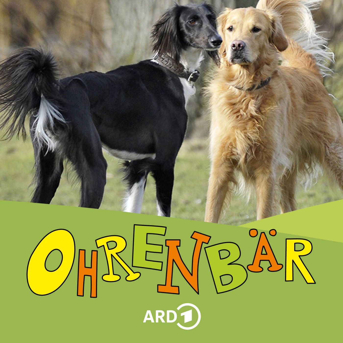 Die Hunde vom Galataturm (6/6): Unzertrennliche Freunde