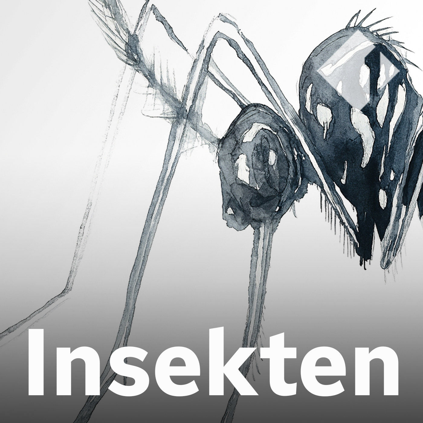 Die japanische Buschmücke