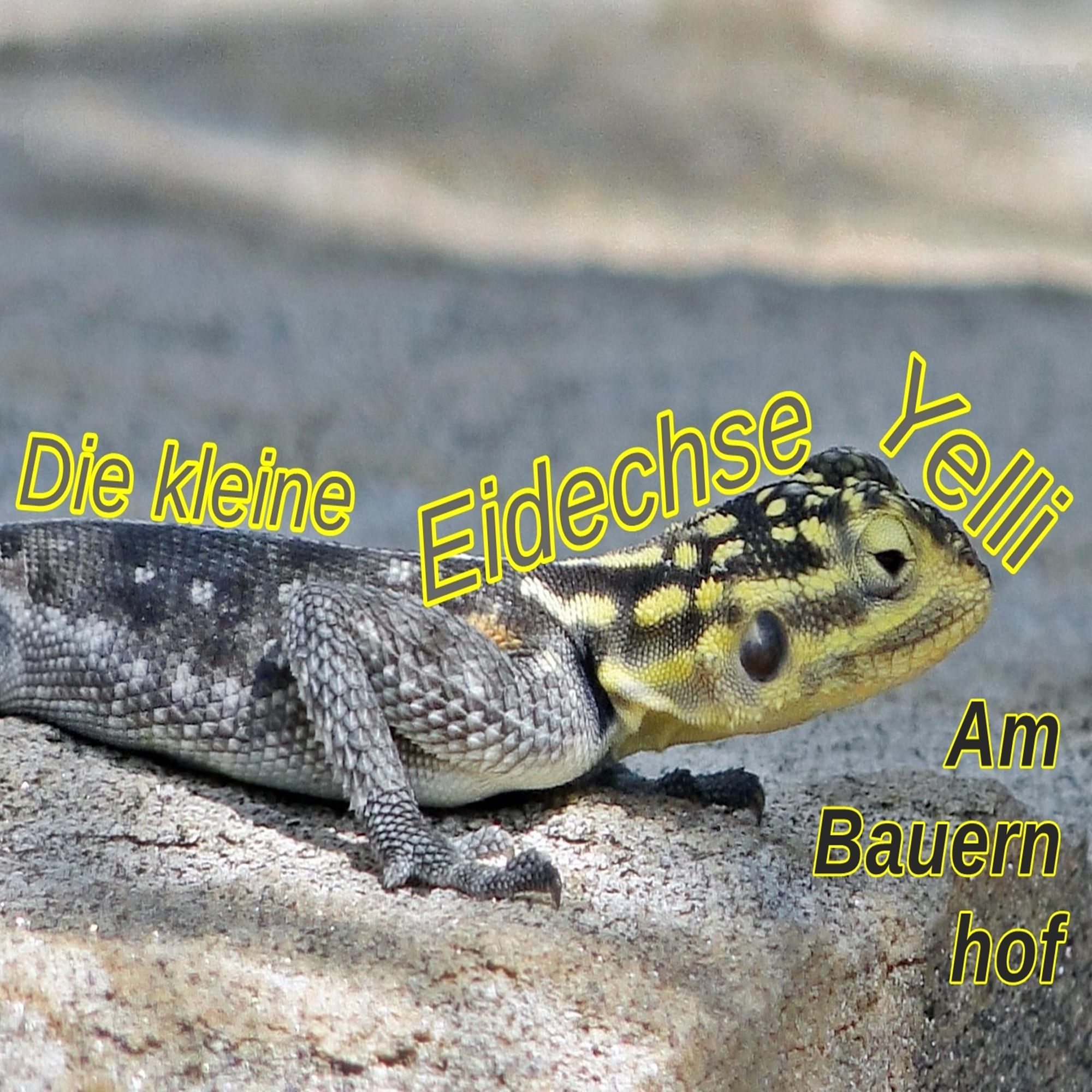 Die kleine Eidechse Yelli - Am Bauernhof