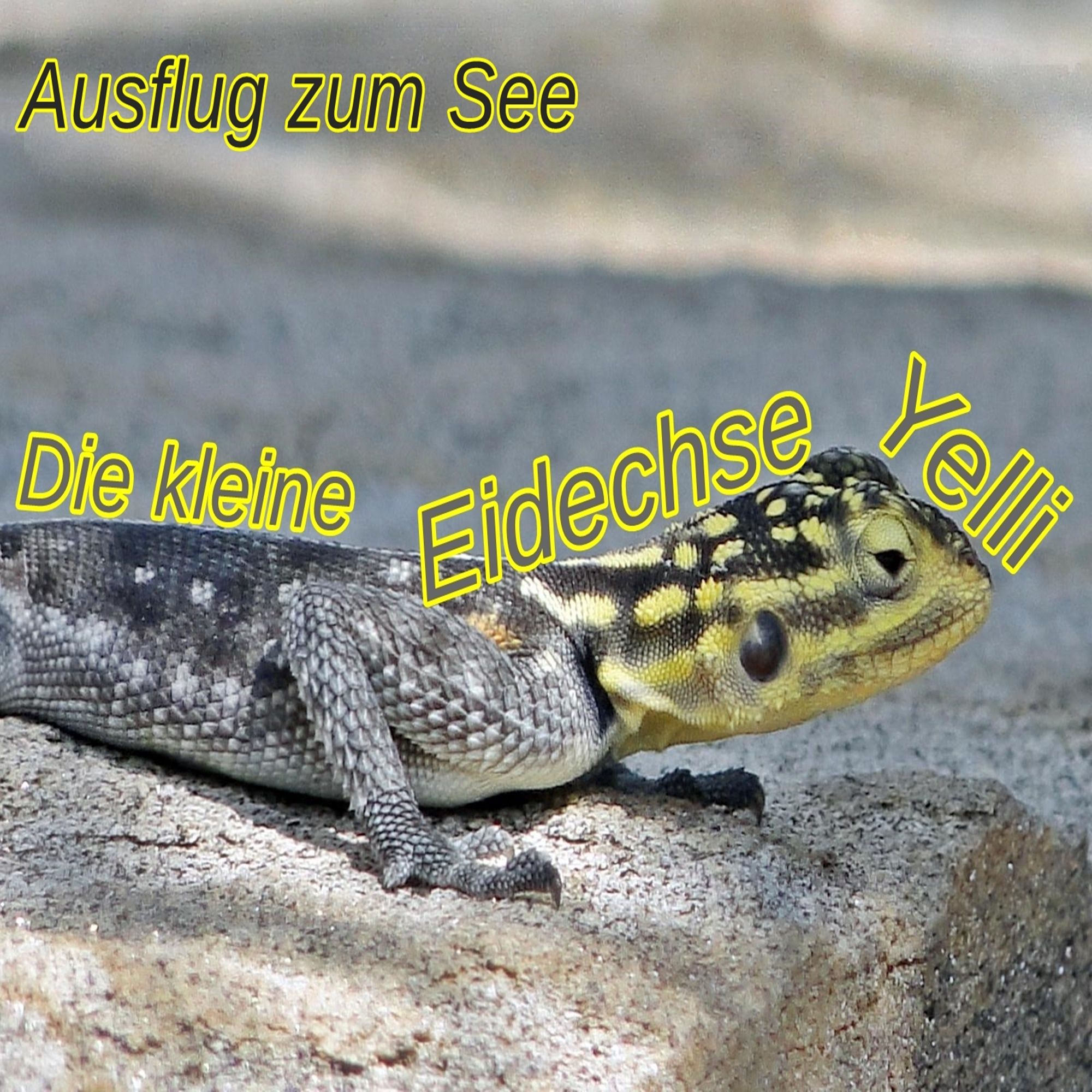 Die kleine Eidechse Yelli - Ausflug zum See