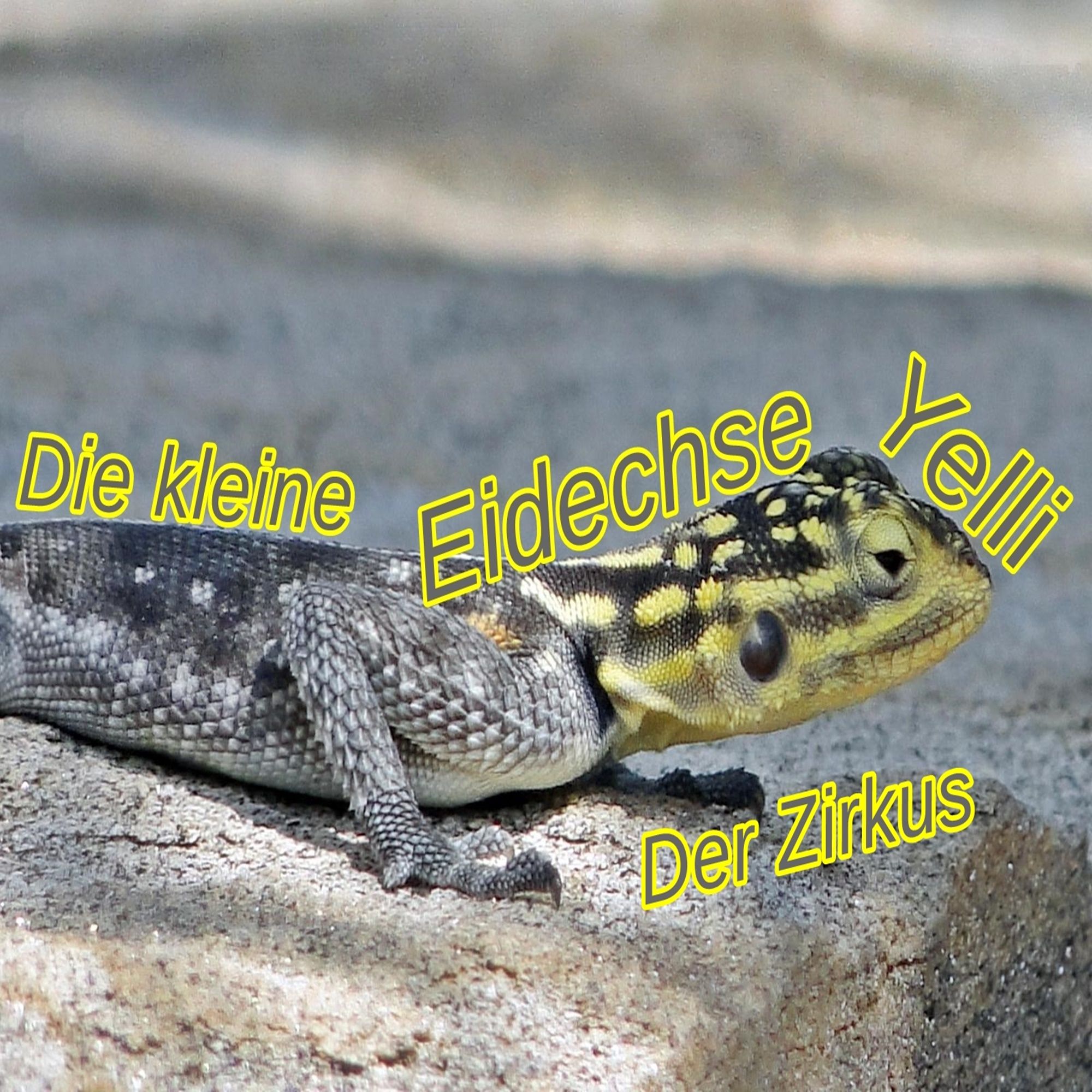 Die kleine Eidechse Yelli - Der Zirkus