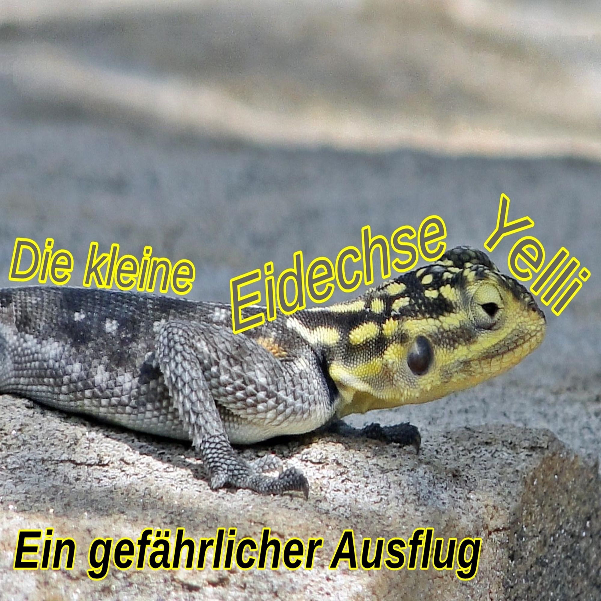 Die kleine Eidechse Yelli - Ein gefährlicher Ausflug