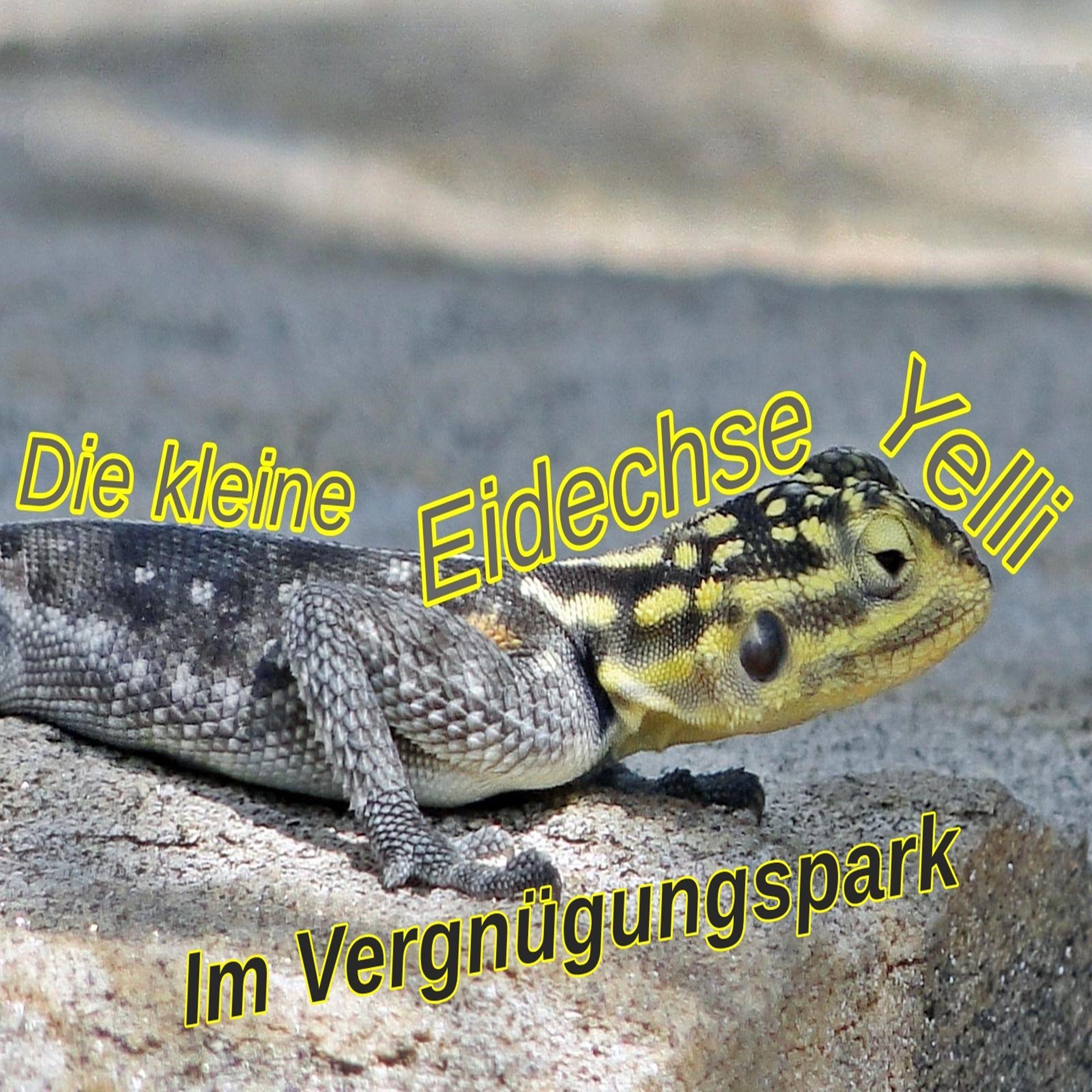 Die kleine Eidechse Yelli - Im Vergnügungspark