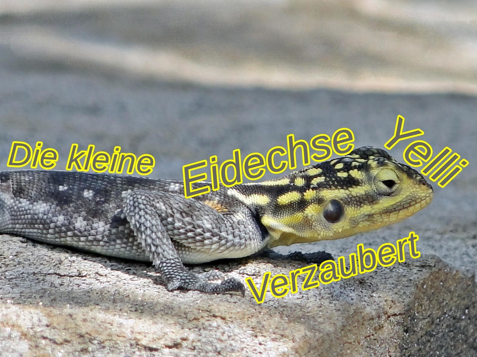 Die kleine Eidechse Yelli - Verzaubert