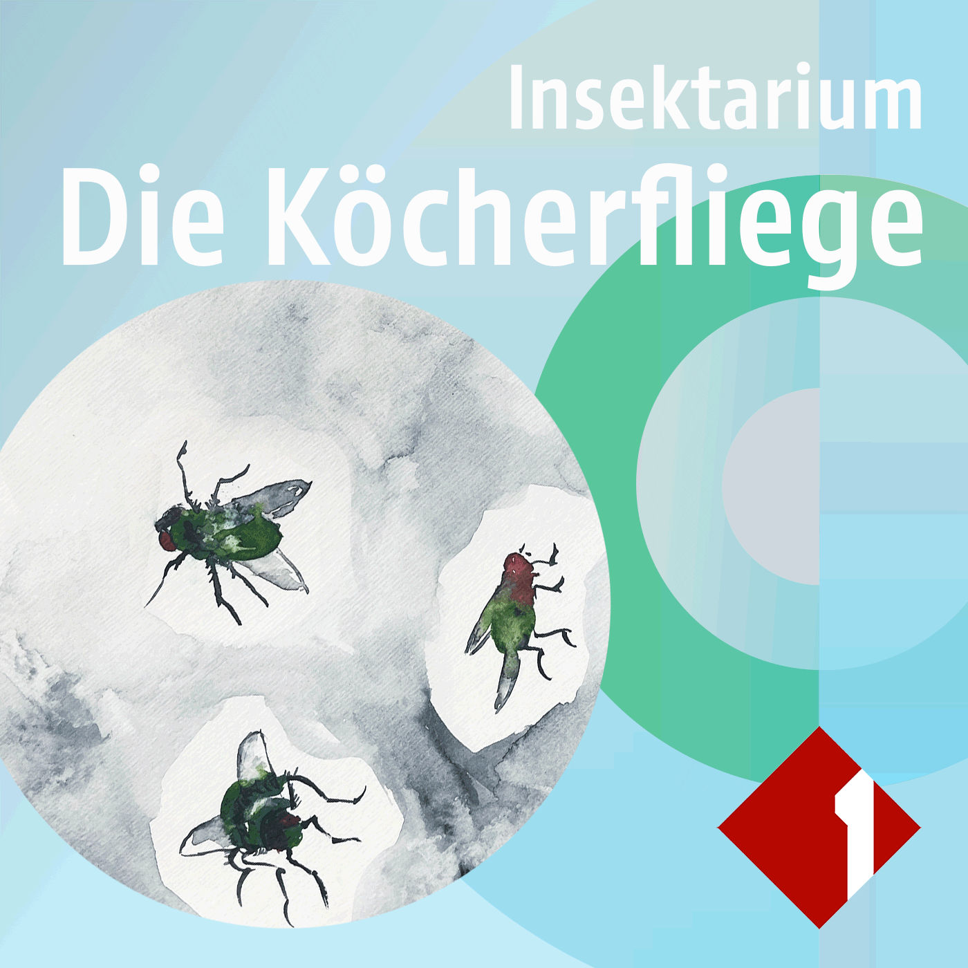 Die Köcherfliege
