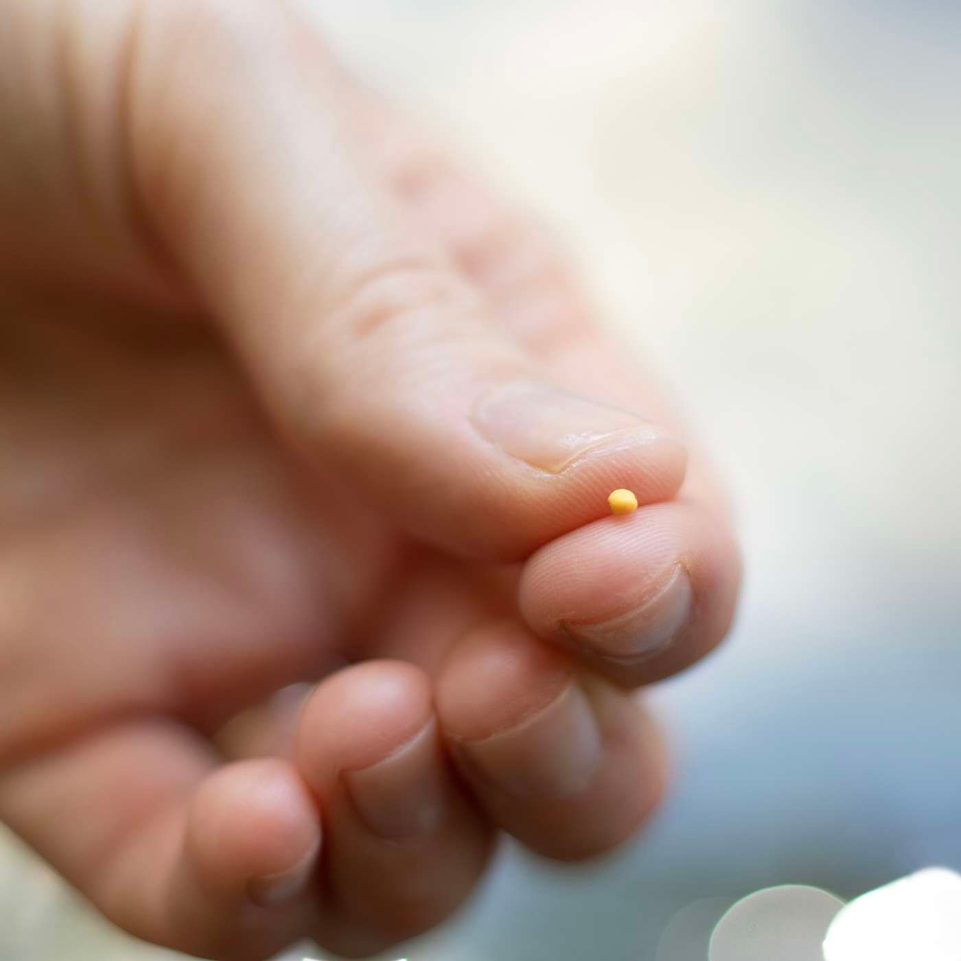 Die Kraft des Senfkorns: Kleine Taten mit großer Wirkung im christlichen Glauben