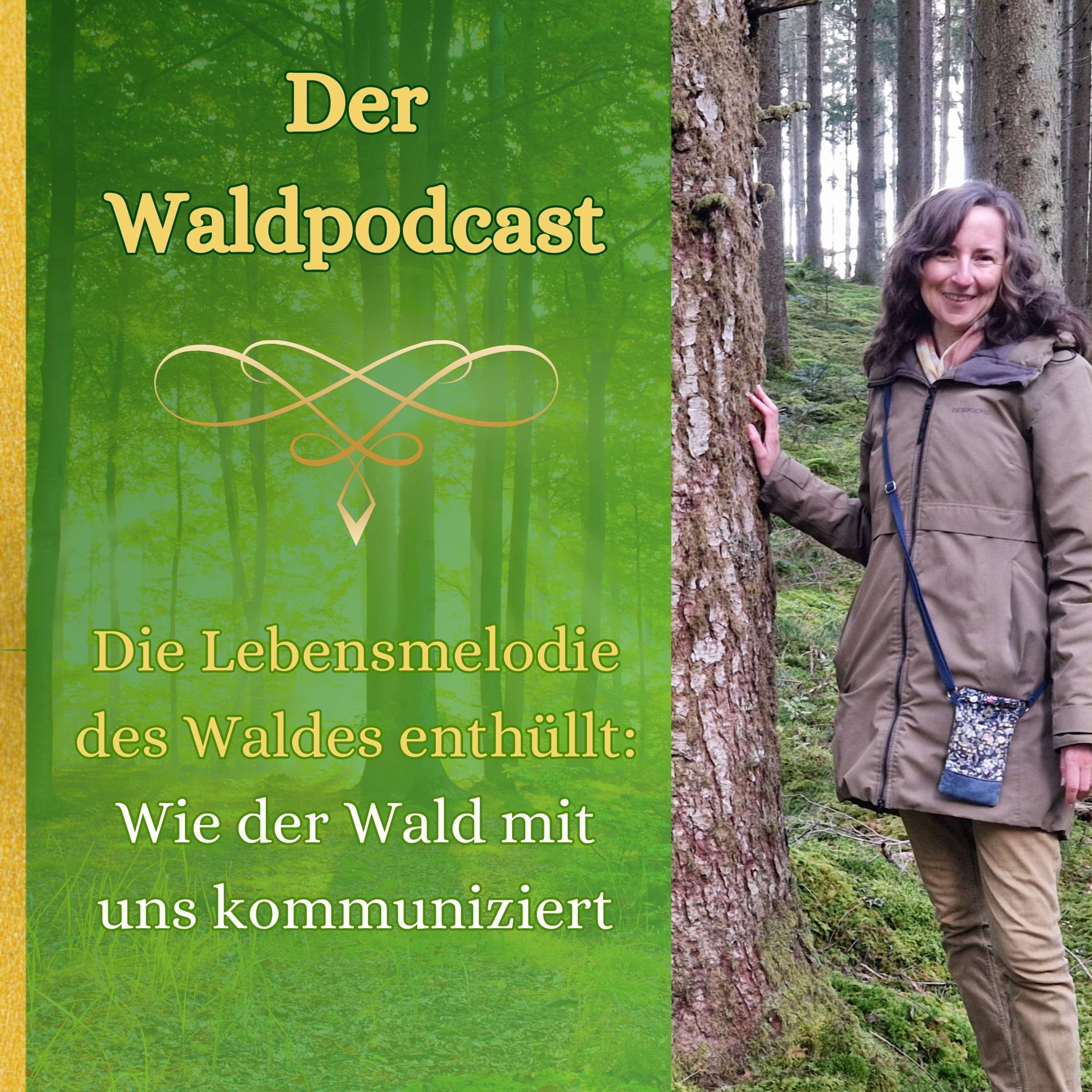 Die Lebensmelodie des Waldes enthüllt: Wie der Wald mit uns kommuniziert