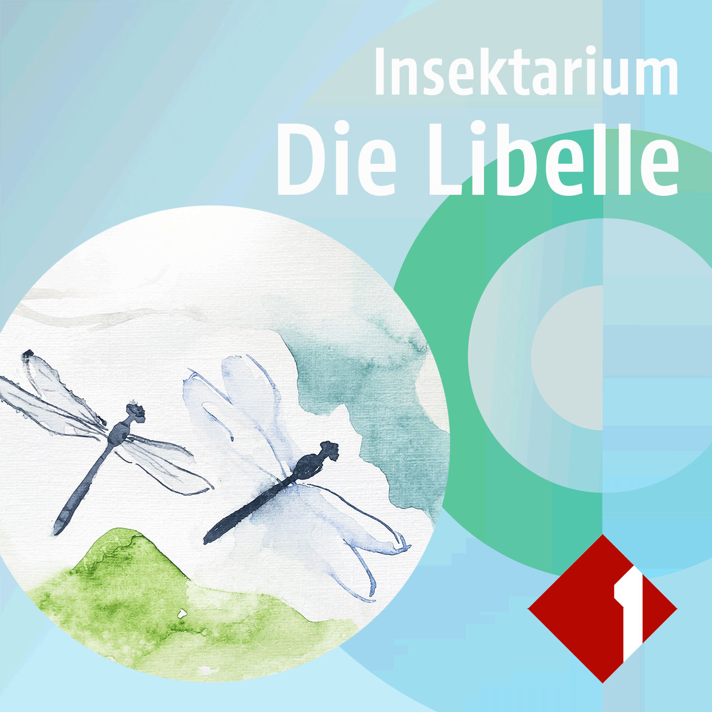Die Libelle