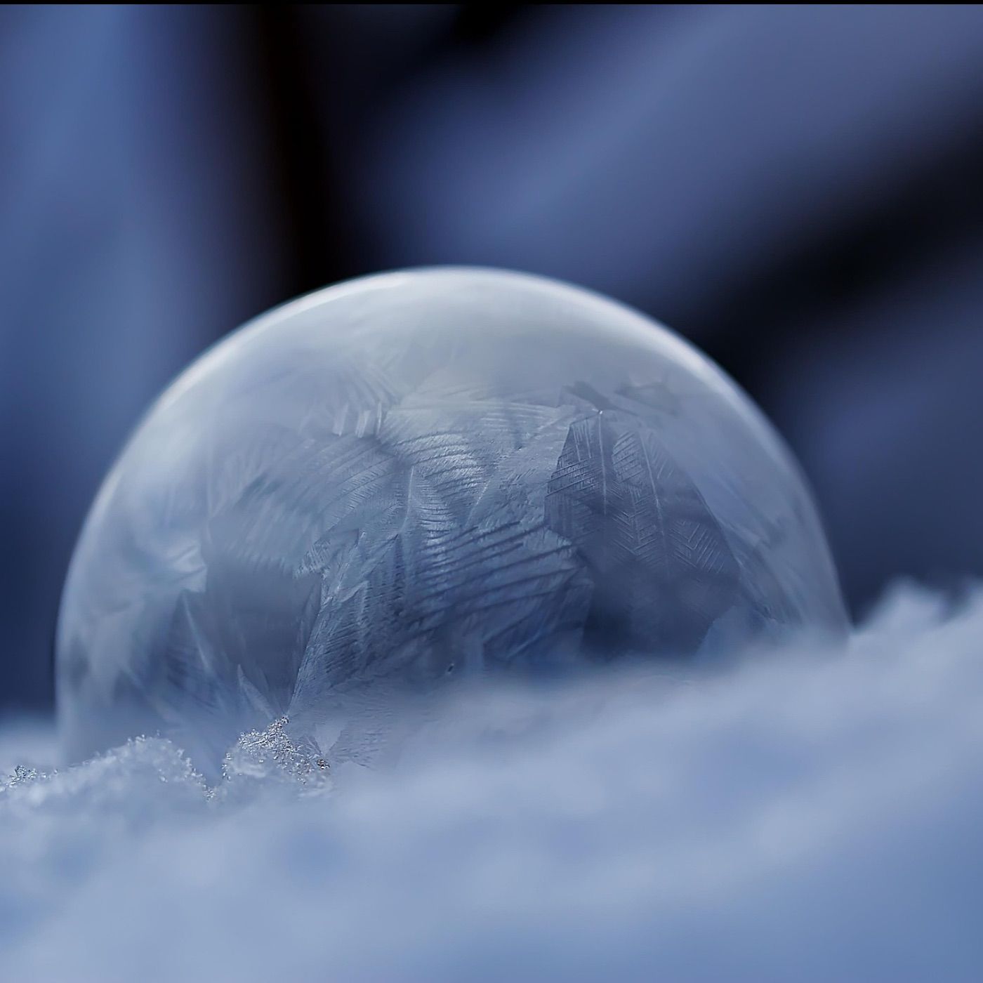 Die Liebe und das Leben Teil_1