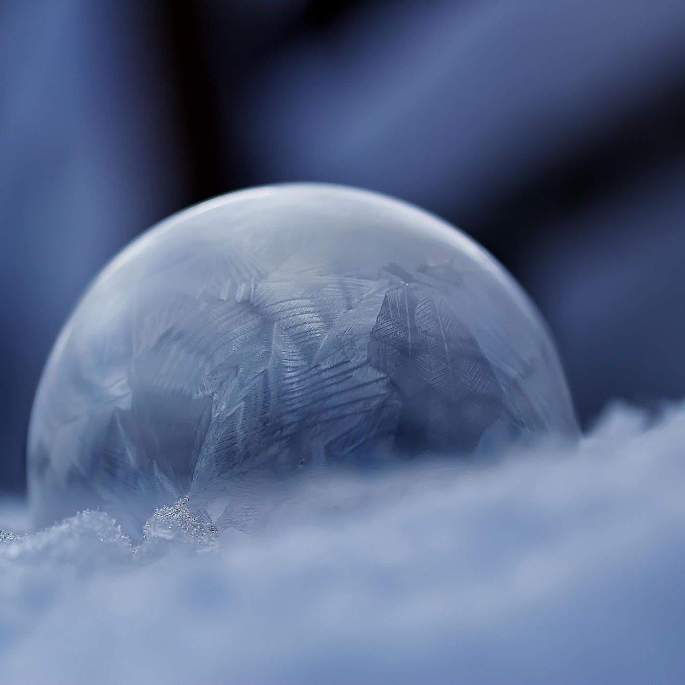 Die Liebe und das Leben Teil_2