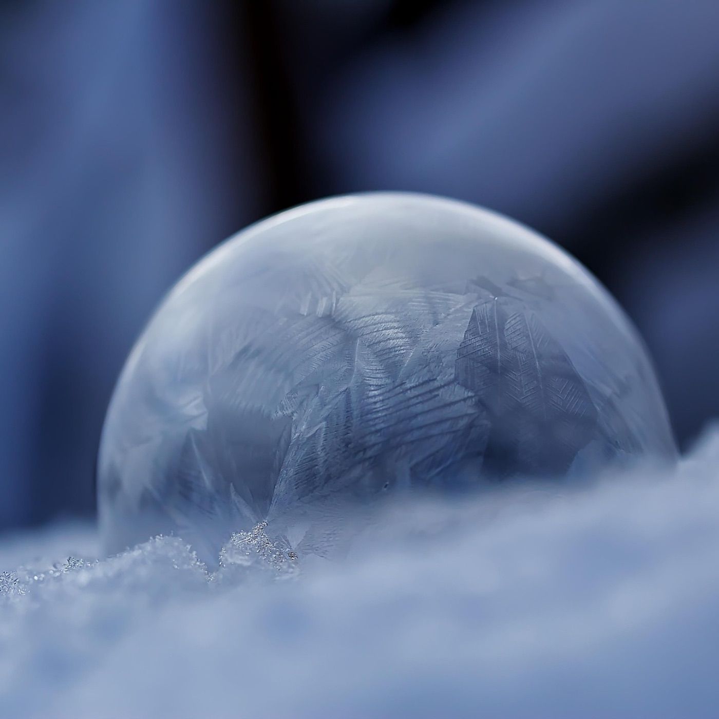 Die Liebe und das Leben Teil_e