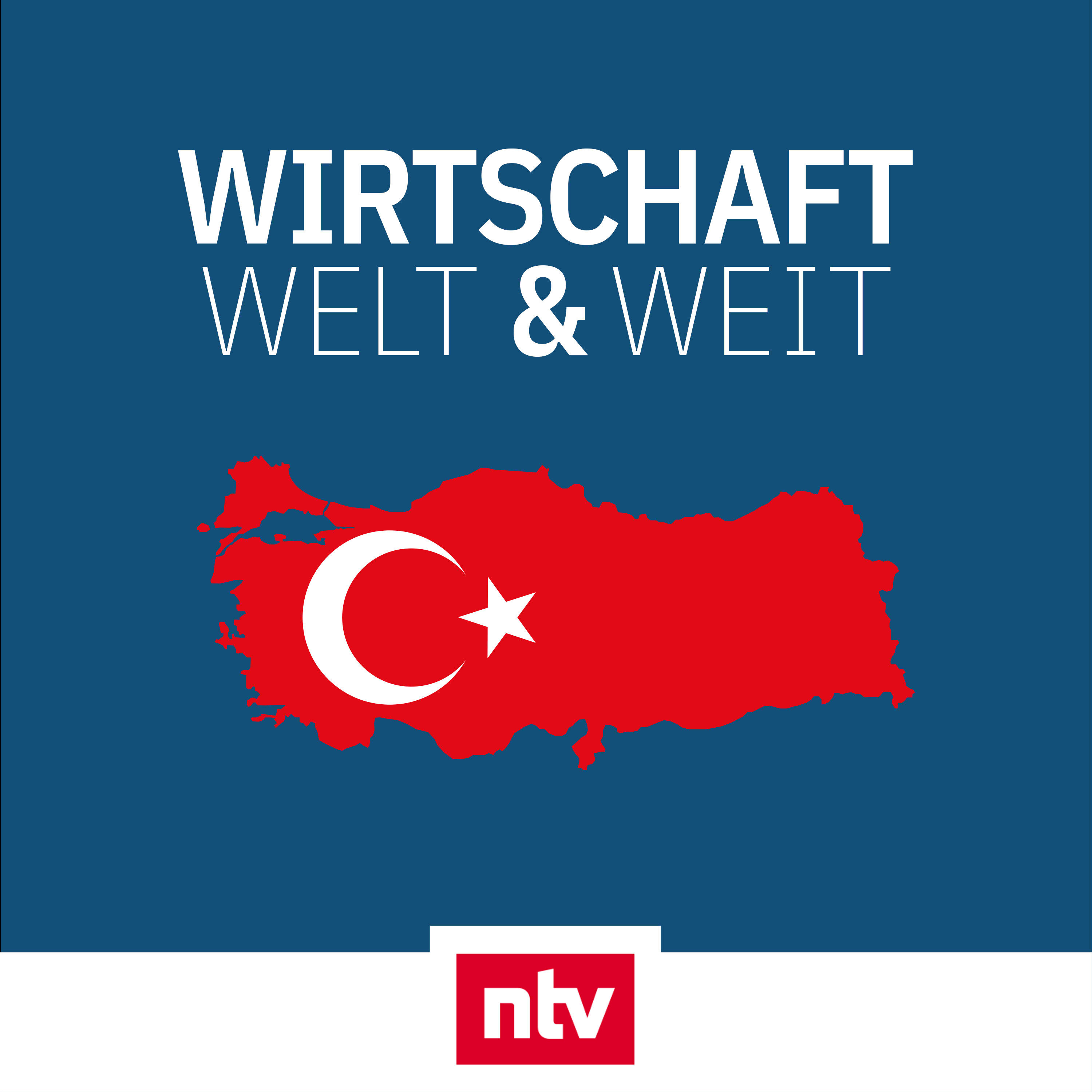 Die Macht der Türkei: "Erdogan hat uns ein Stück weit in der Hand"