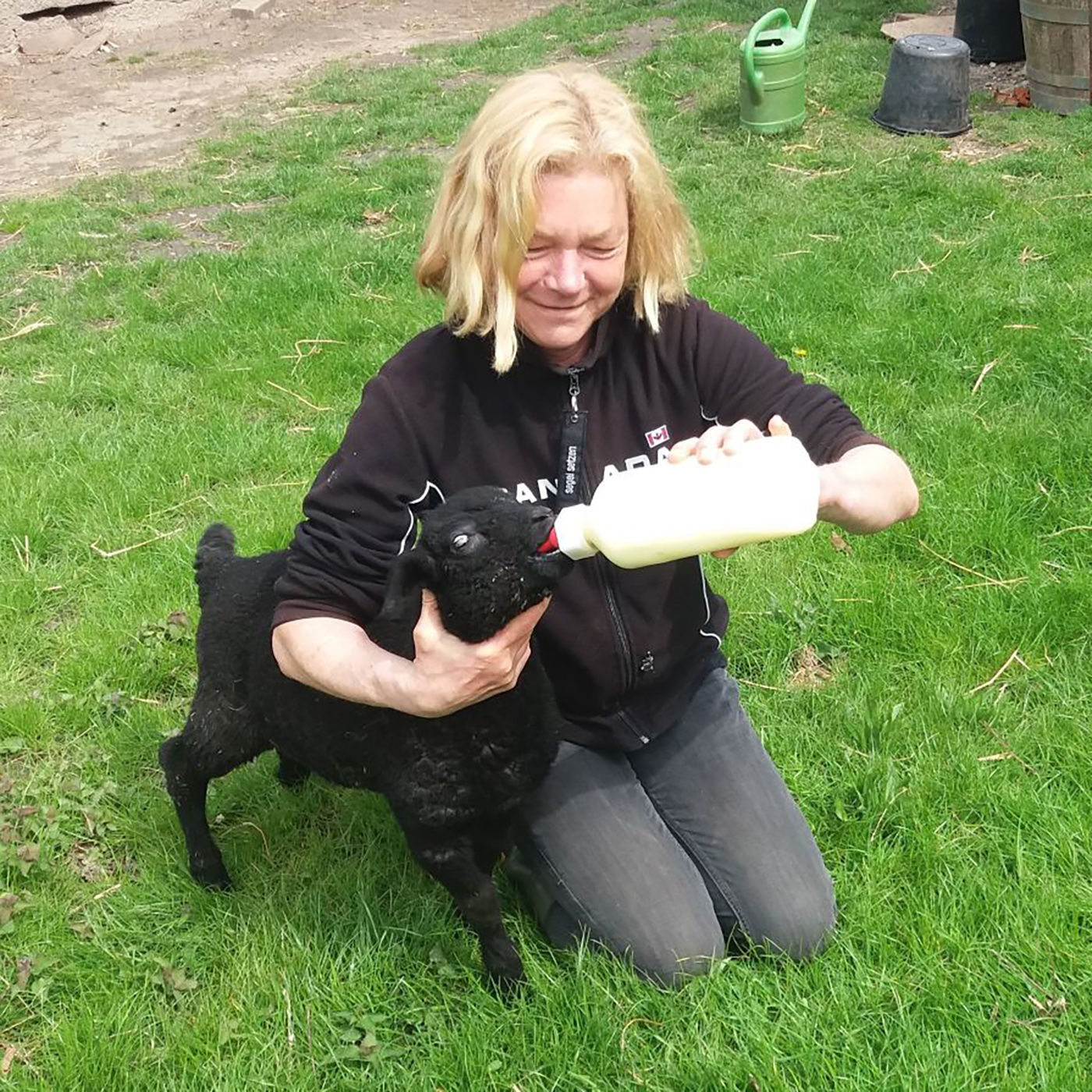 "Die Milch, die man selbst gemolken hat, trinkt man anders" | Christine Weiland, Autorin