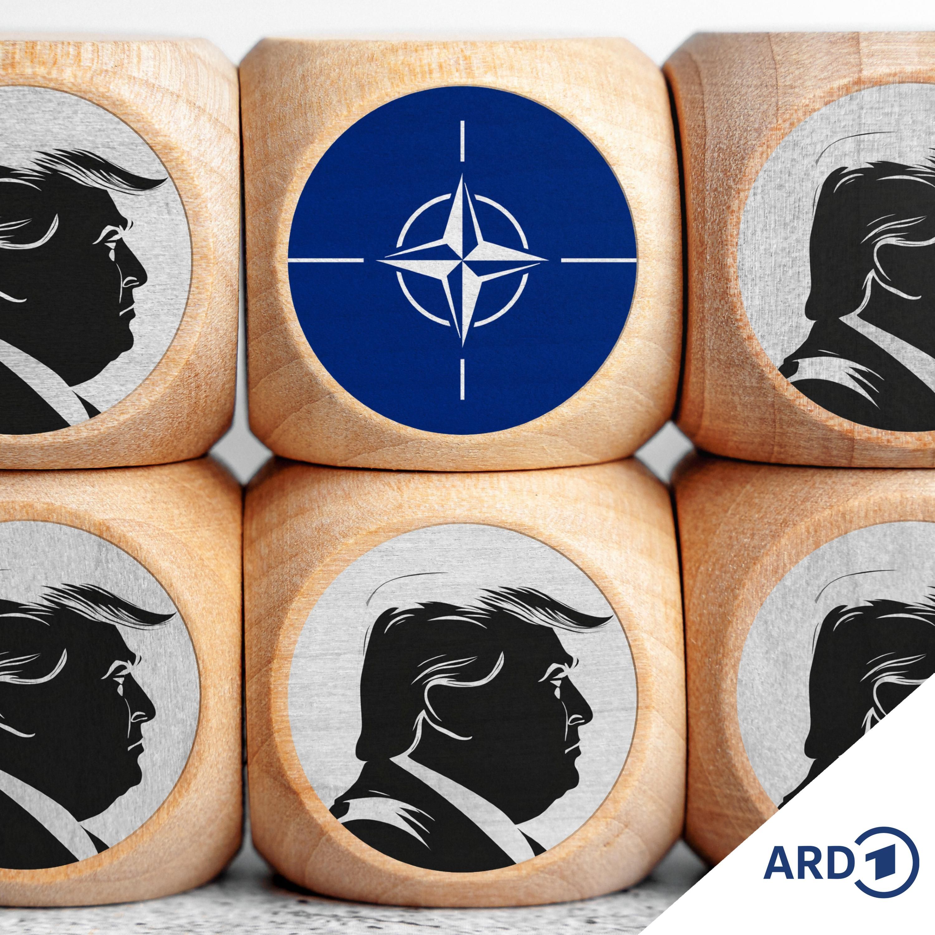 Die NATO und Donald Trump