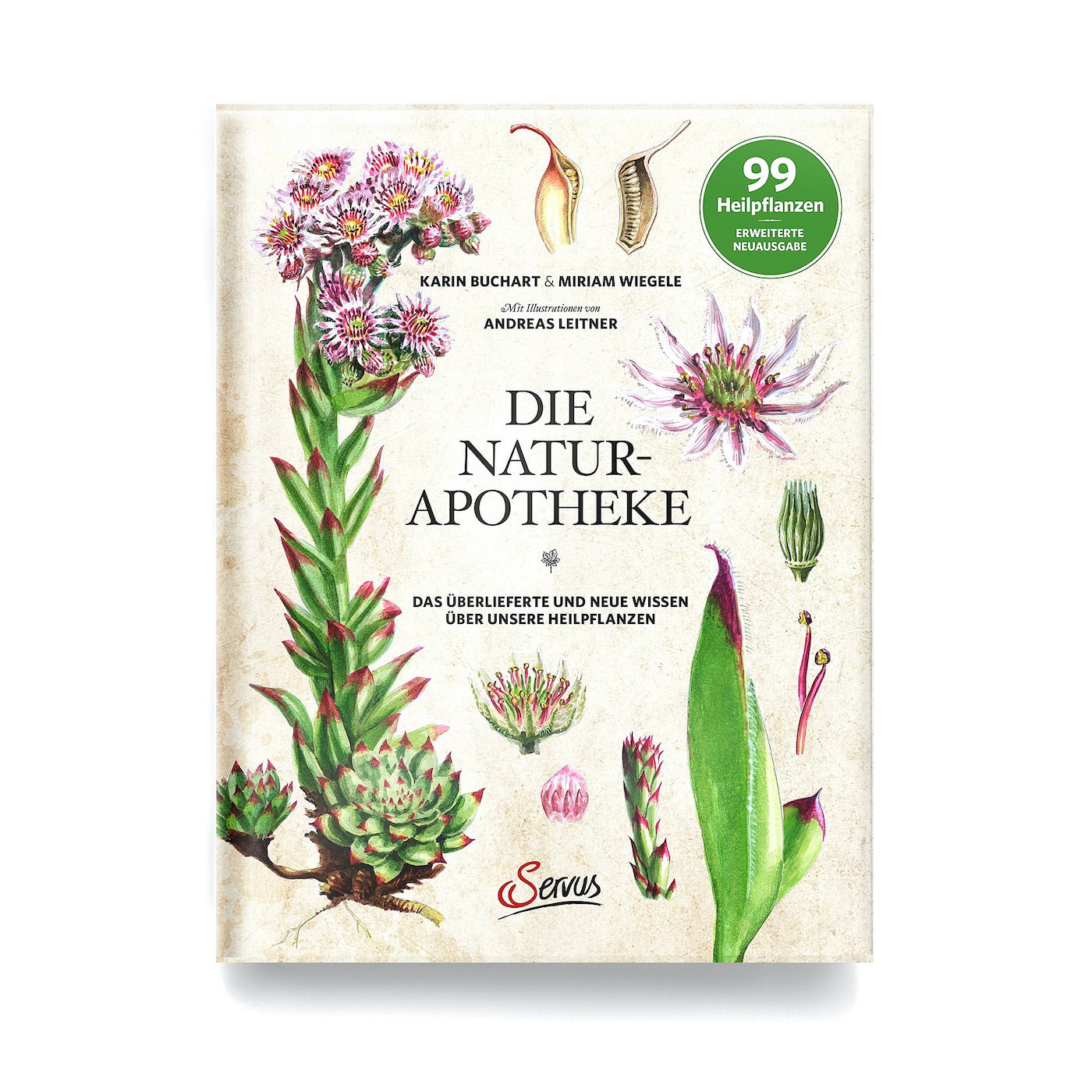 Die Naturapotheke: über die Kraft unserer Heilpflanzen