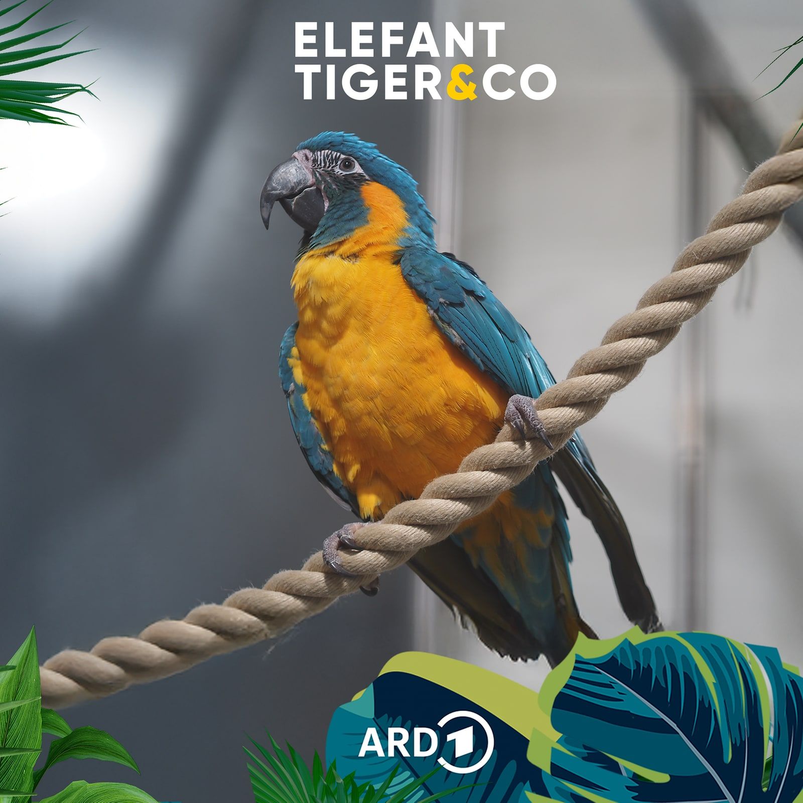 Die neue Ara-Voliere