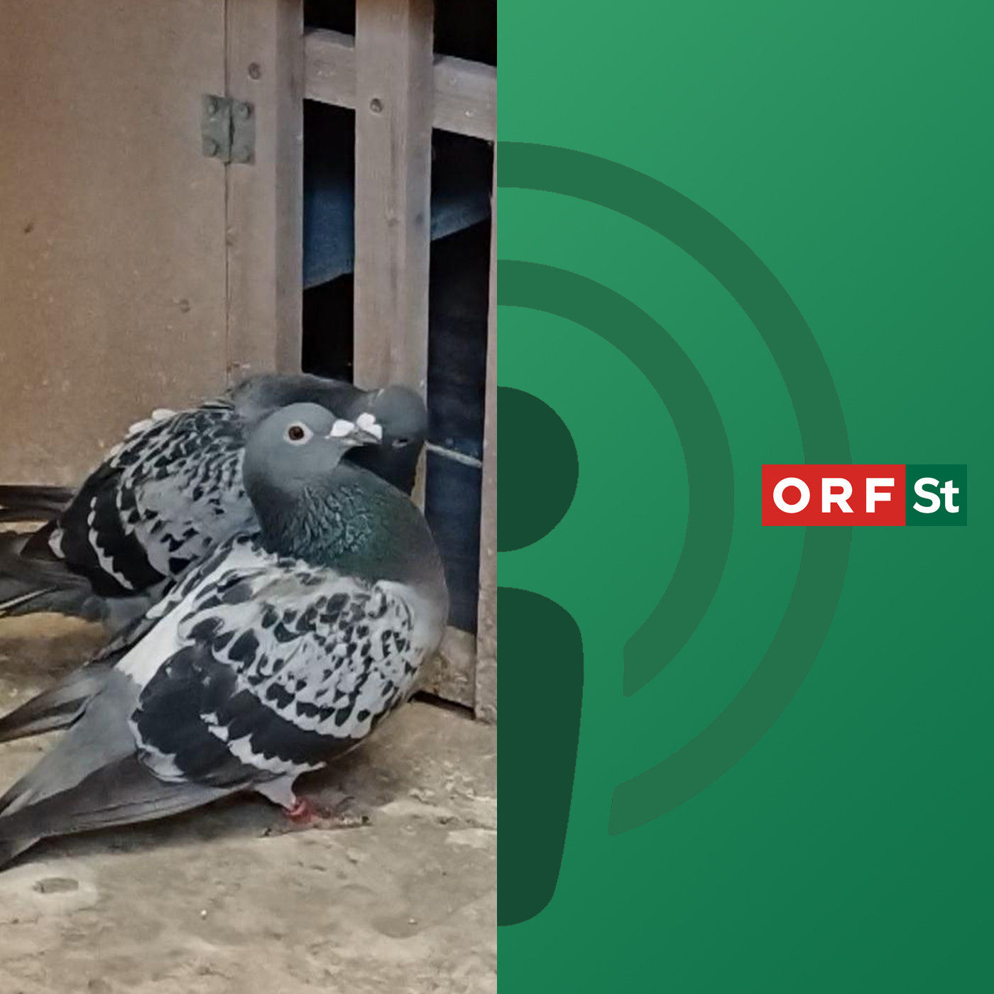 Die Orientierungskünstlerinnen