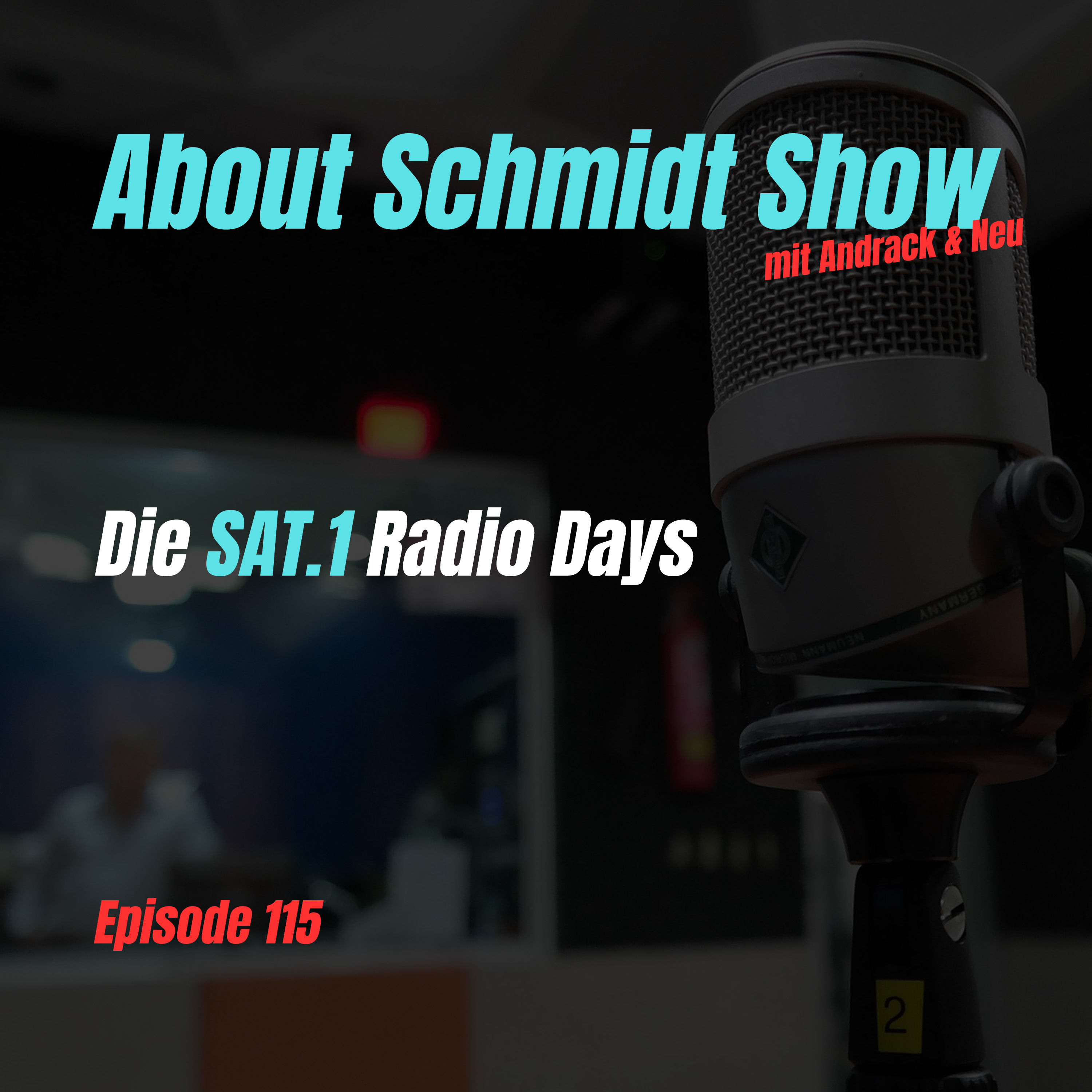 Die SAT.1 Radio Days