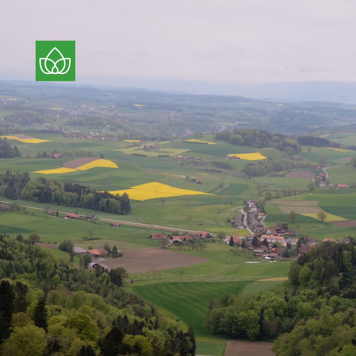 Die Schweiz ist grün, vielleicht zu grün. Über Biodiversitätsstrategien