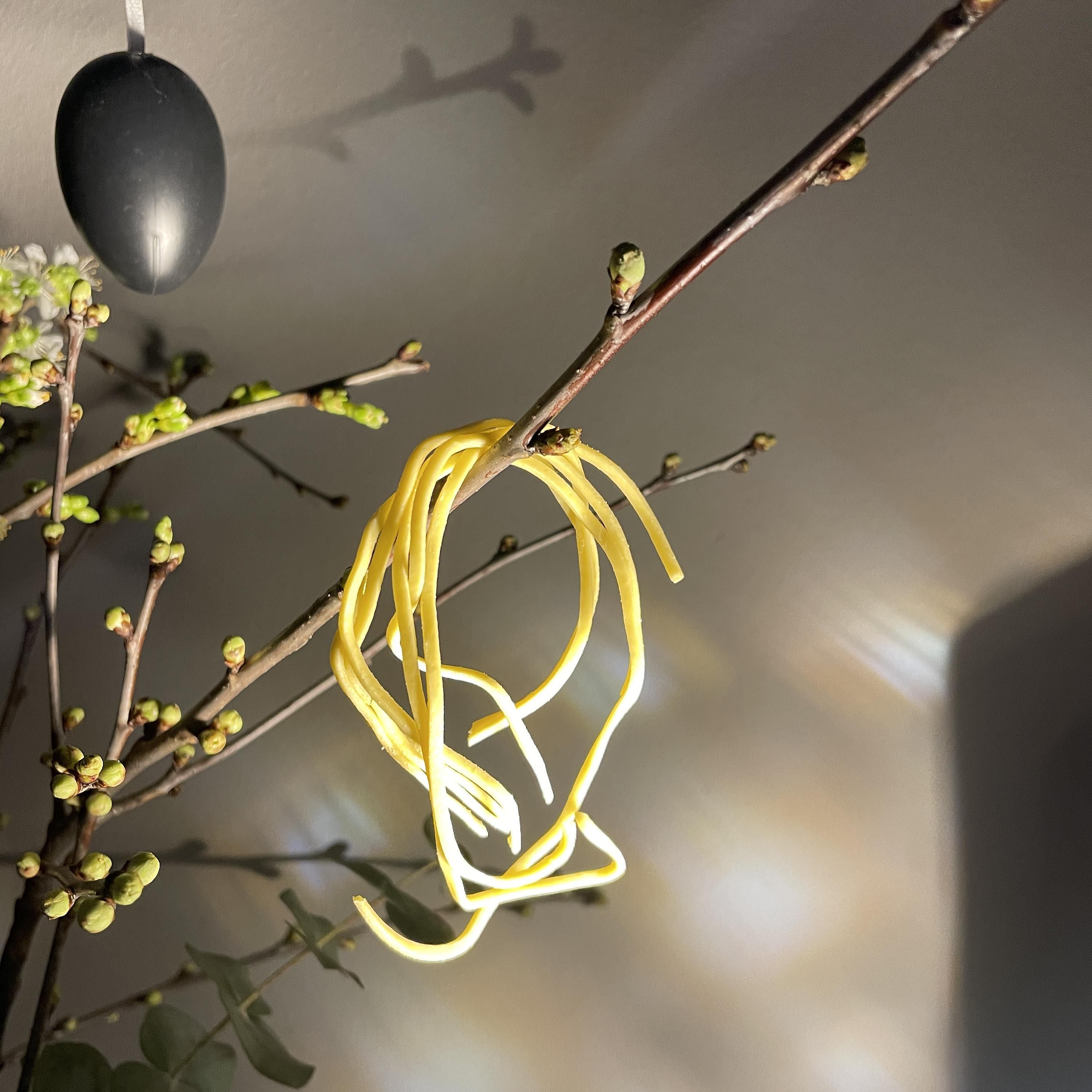 Die Schweizer Spaghetti-Ernte