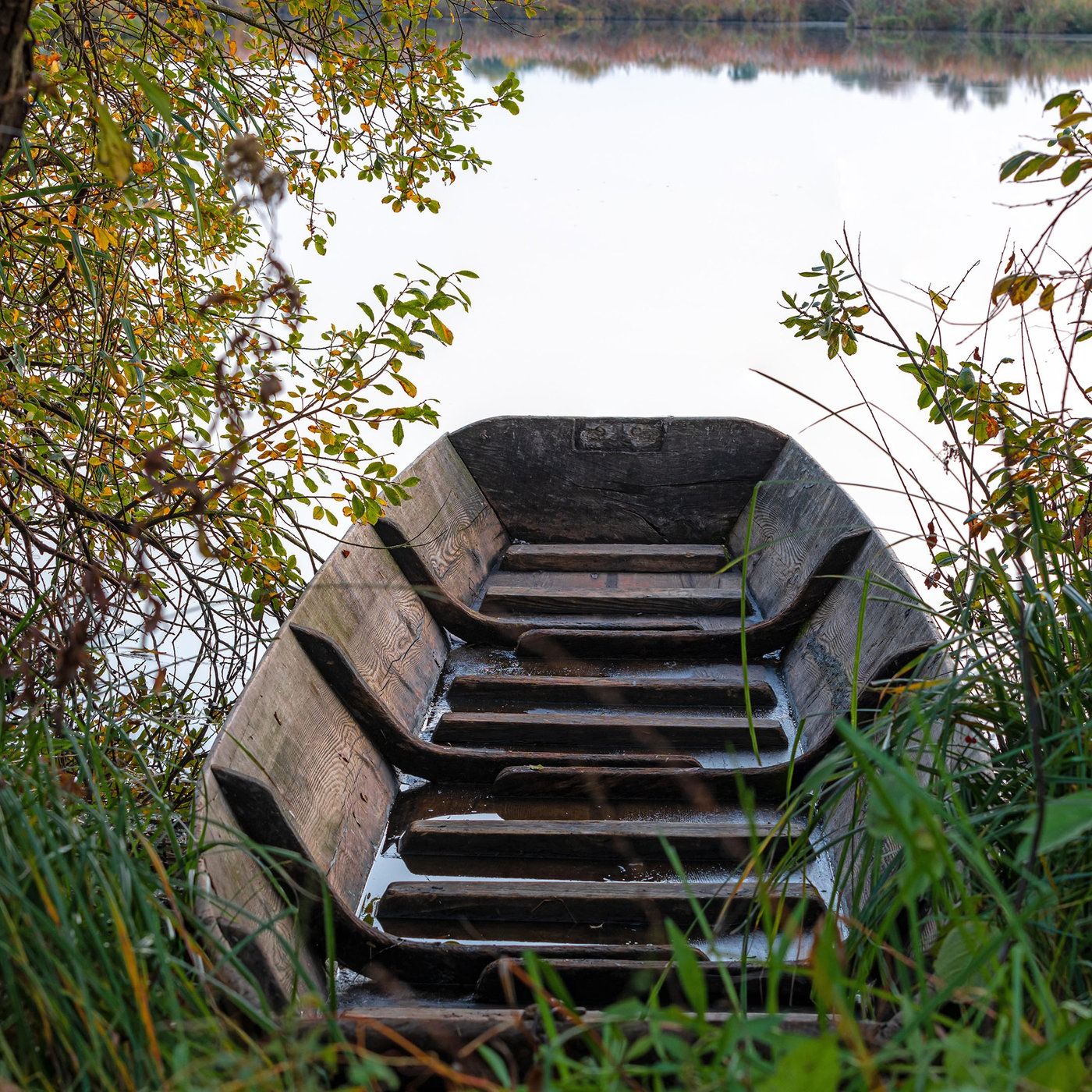 Die Seekannengesellschaft
