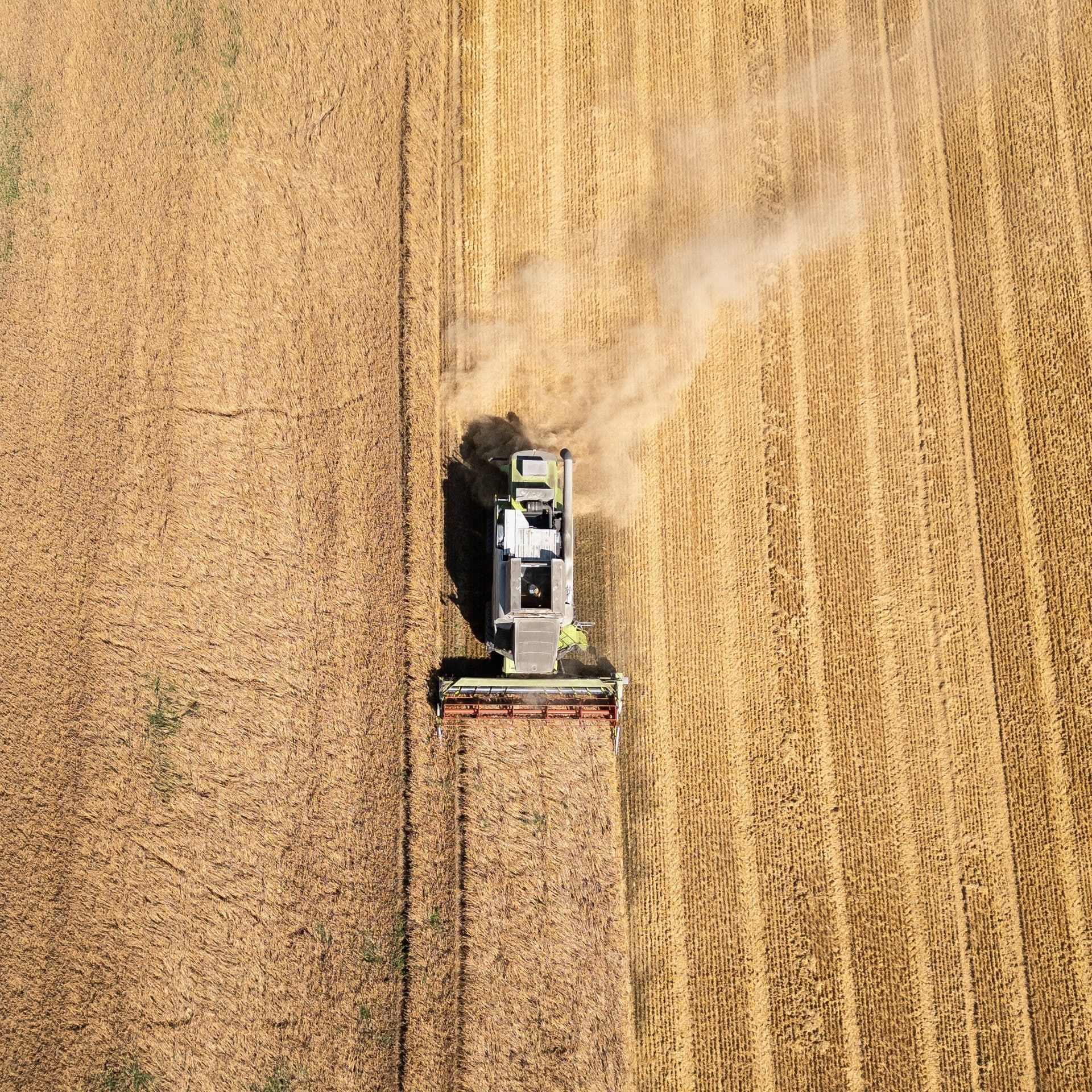 Die Situation der Landwirte in Baden-Württemberg bleibt angespannt