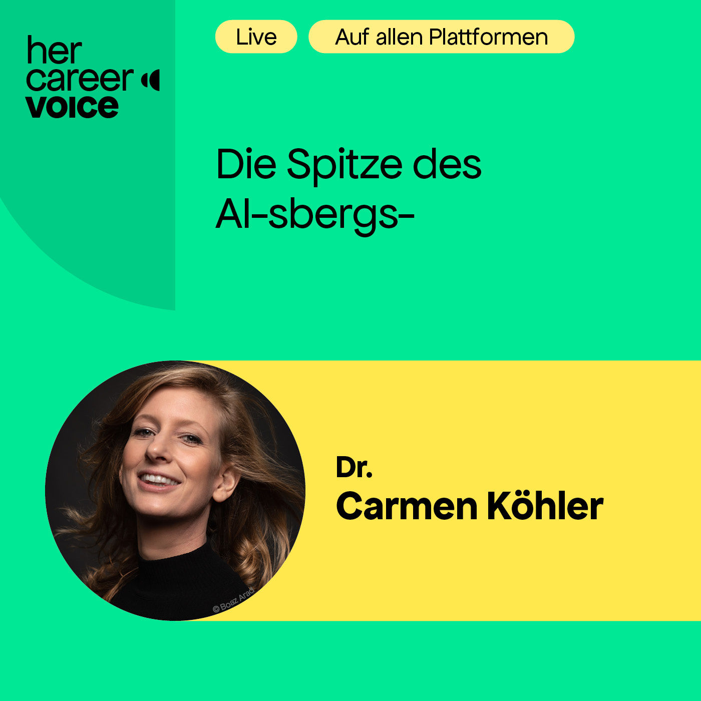 Die Spitze des AI-sbergs