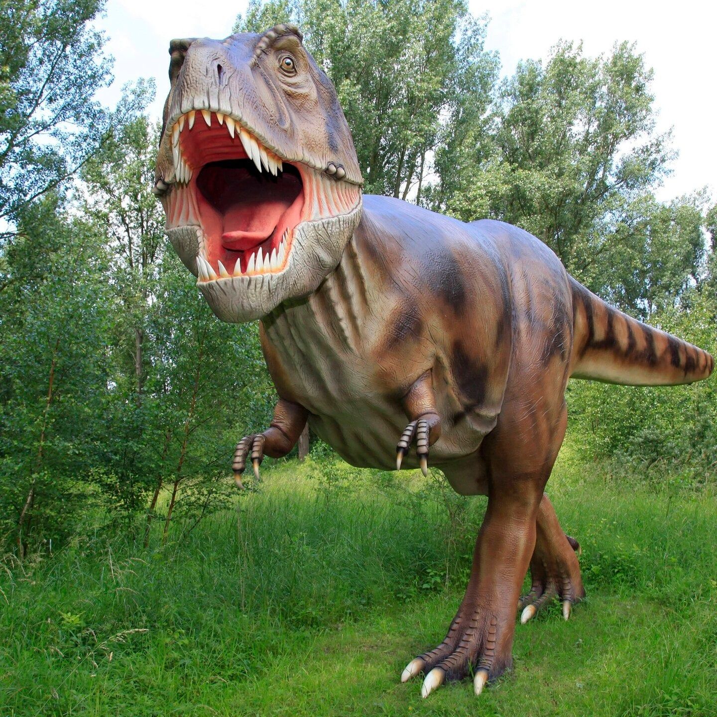 Die Tierdocs: Dinosaurier stinkt