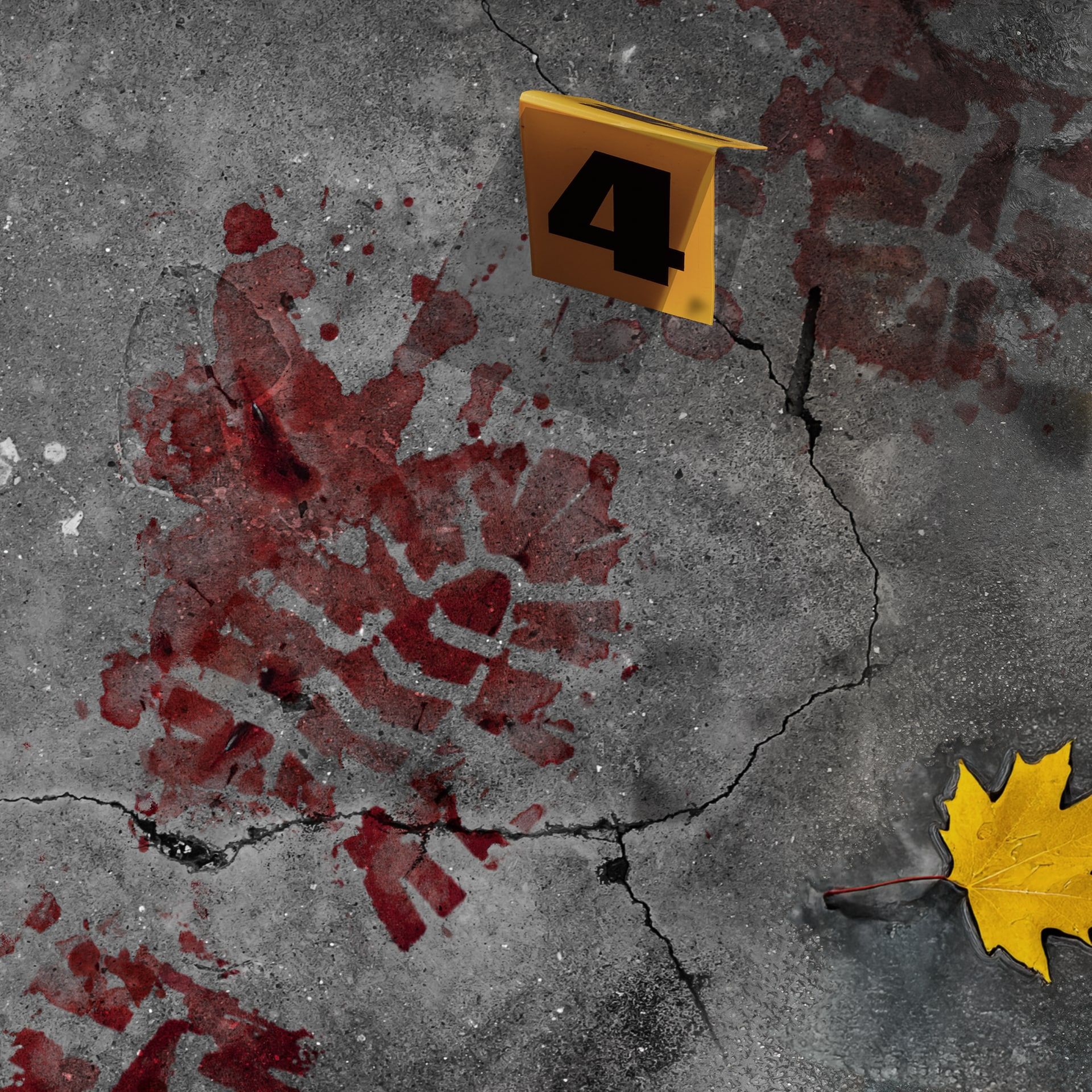 Die vergessene Spur (4/6)