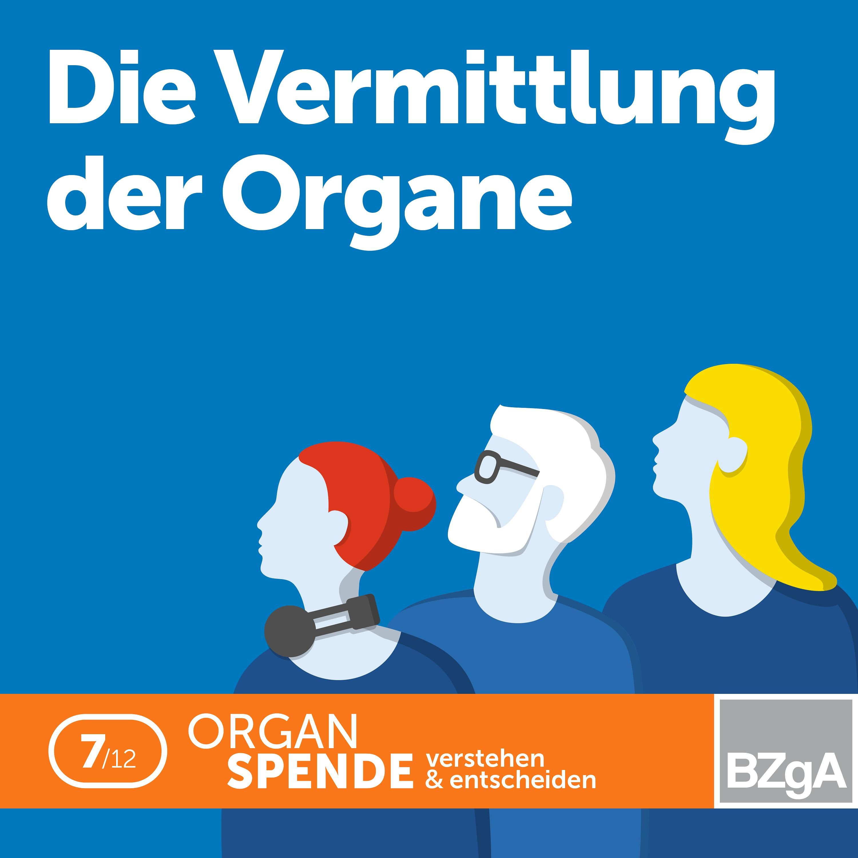 Die Vermittlung der Organe - Die Rolle von Eurotransplant